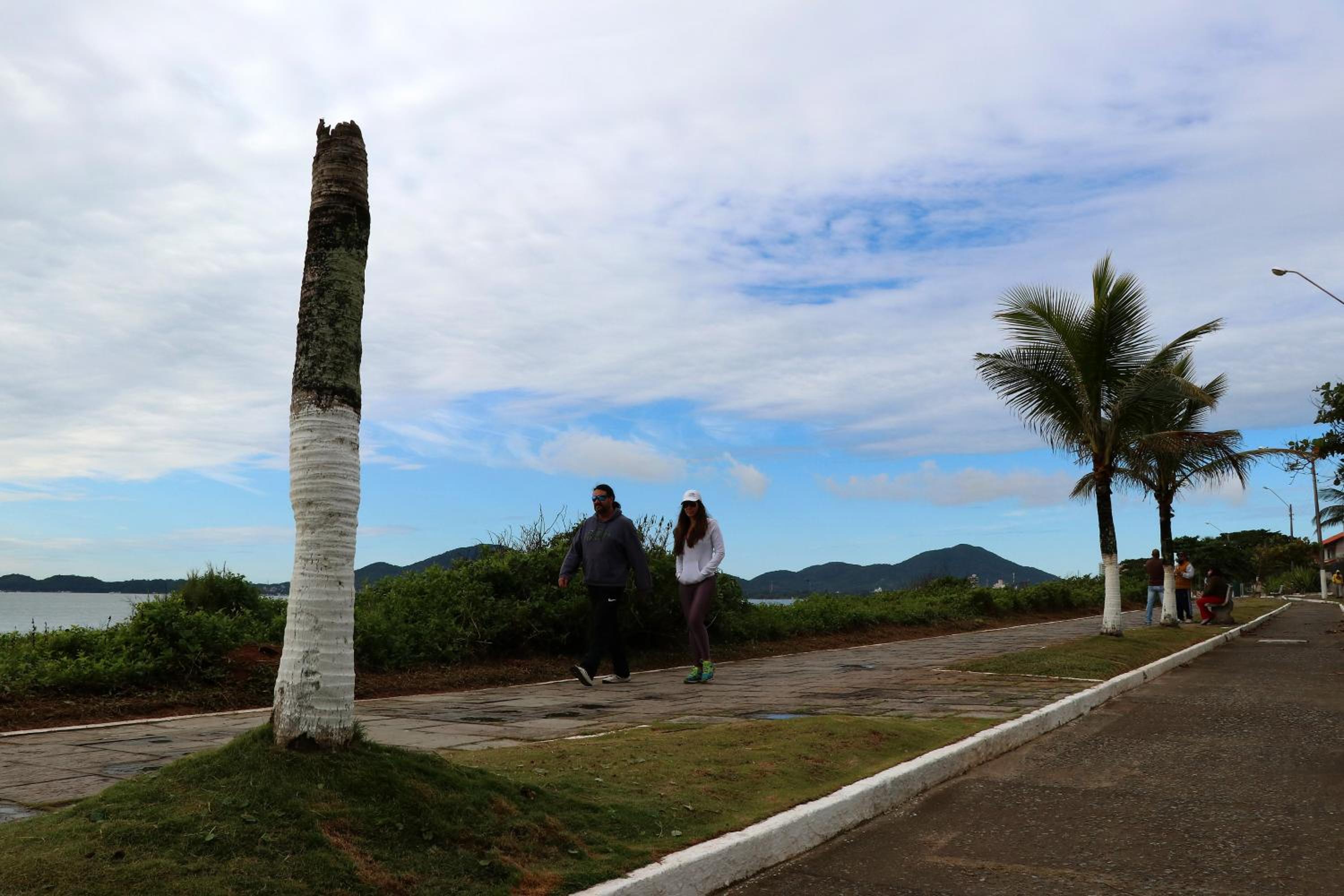 Curta Praia de Armação - Casa Coqueiro