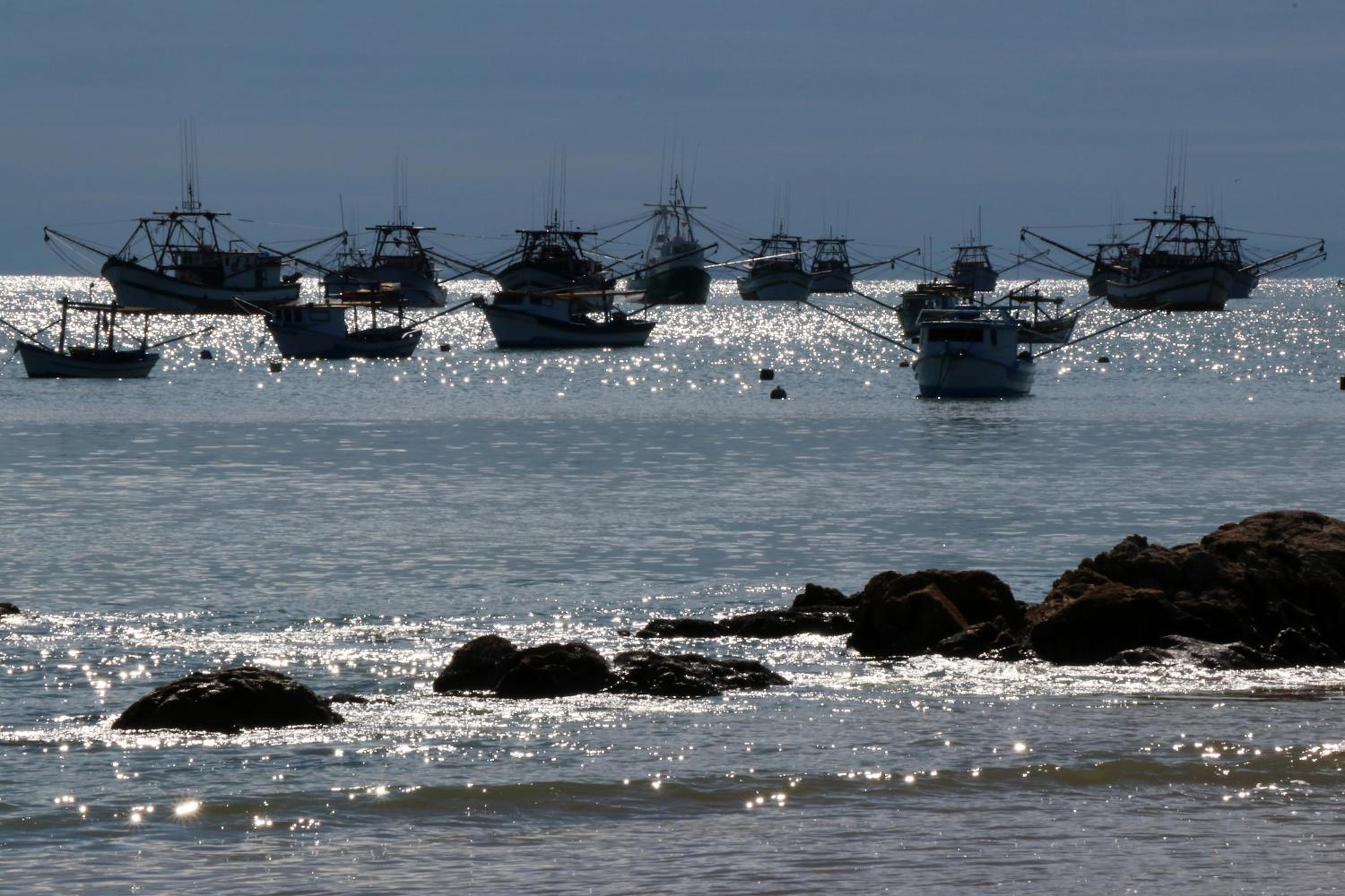 Curta Praia de Armação - Casa Coqueiro