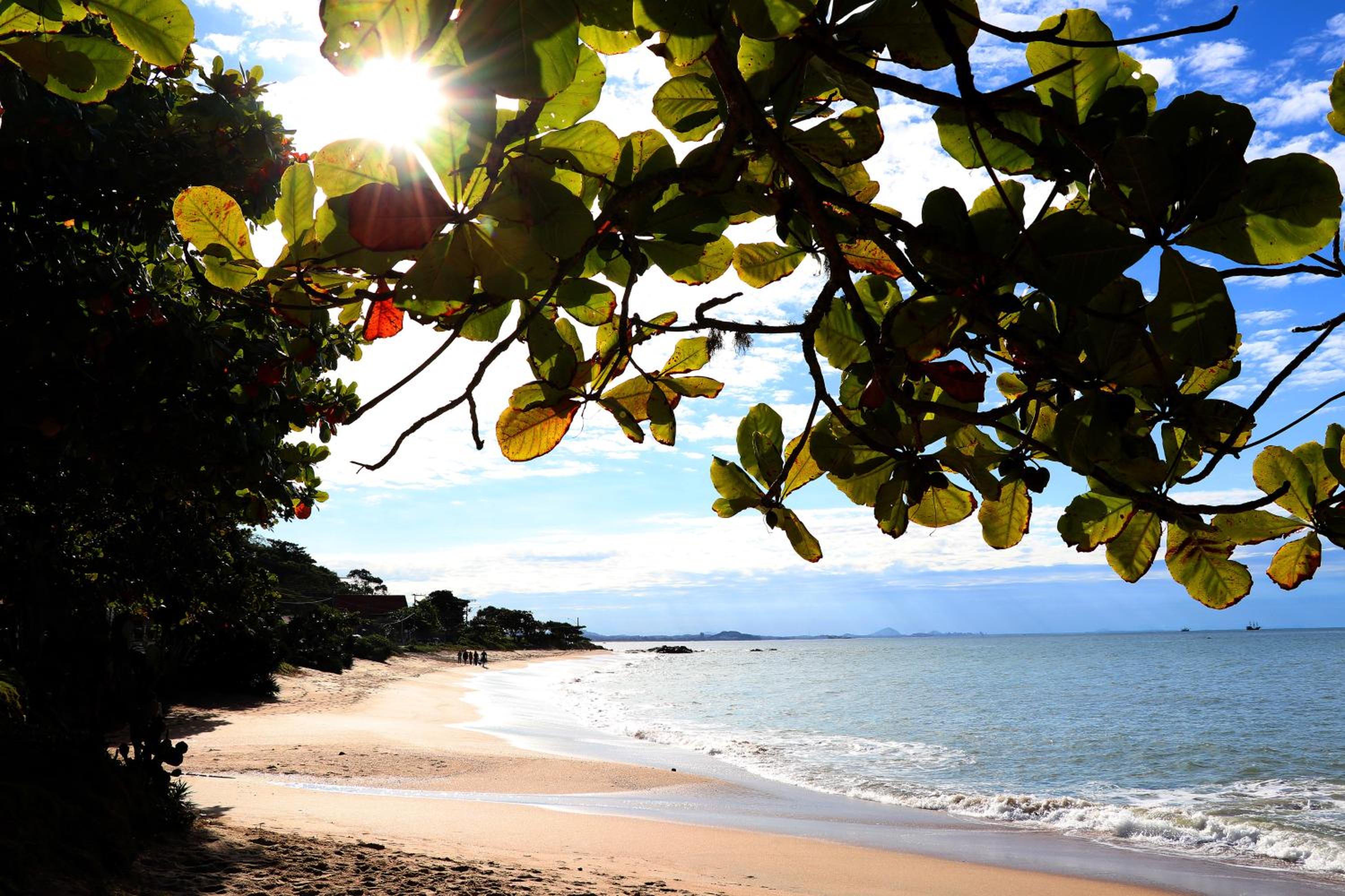 Curta Praia de Armação - Casa Coqueiro