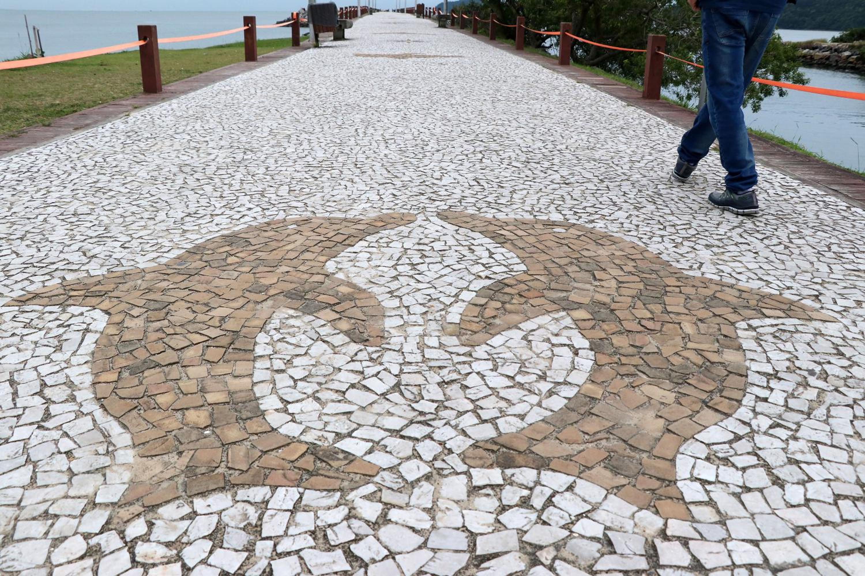 Curta Praia de Armação - Casa Coqueiro