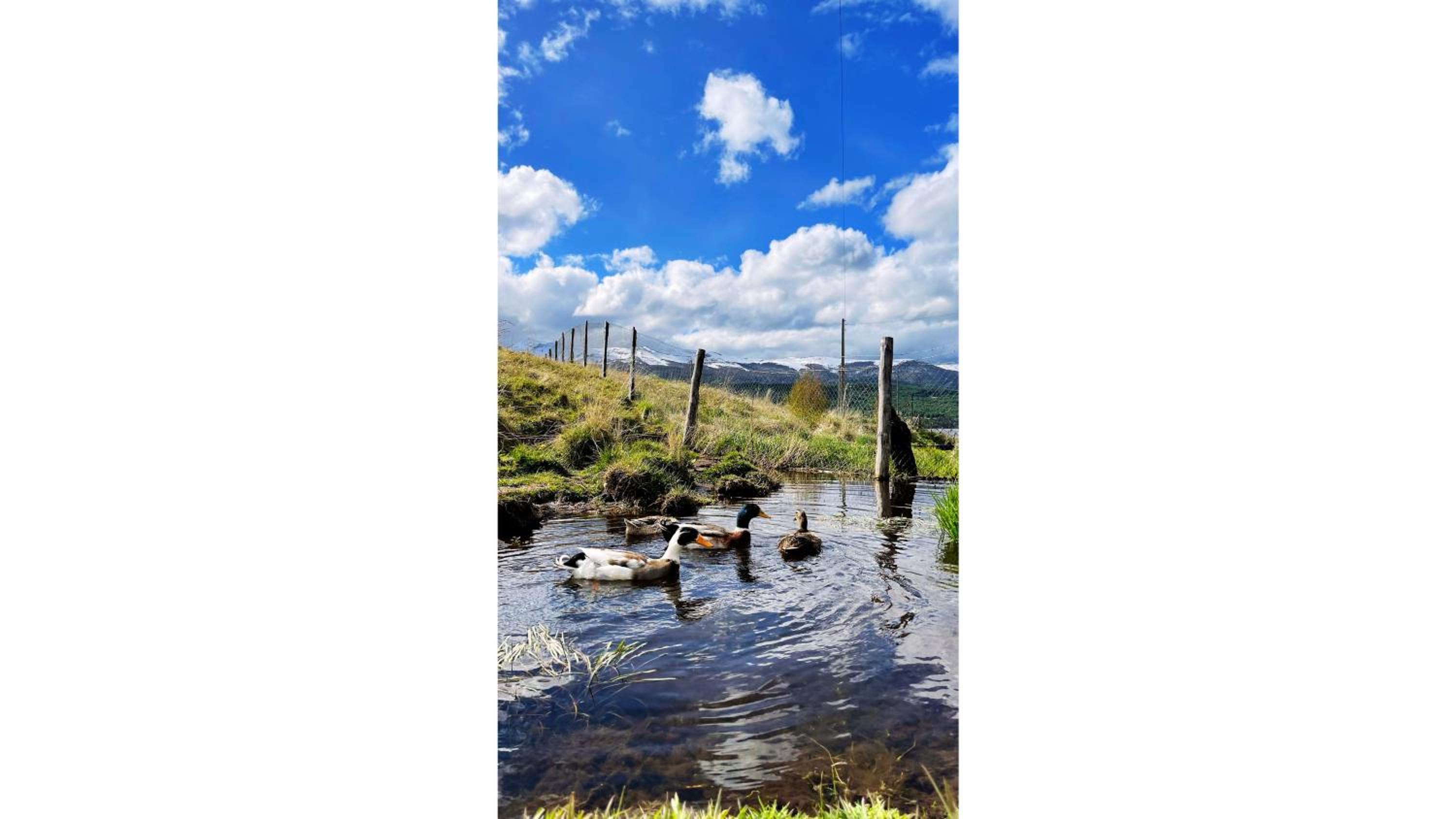 Cabaña - Granja Lago Frío