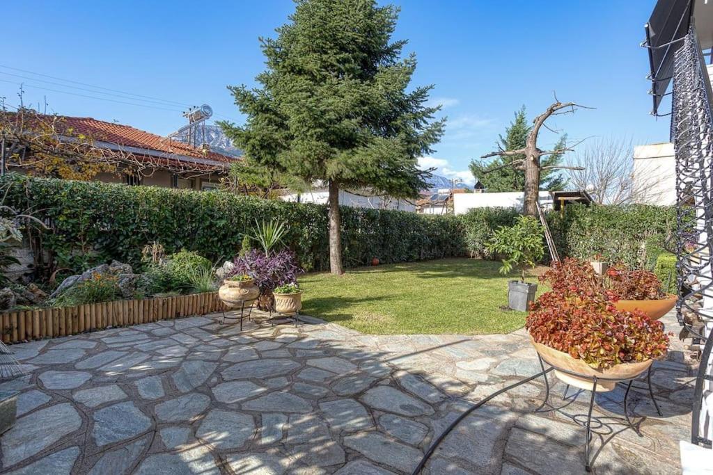 Luminous Luxury House photo 4