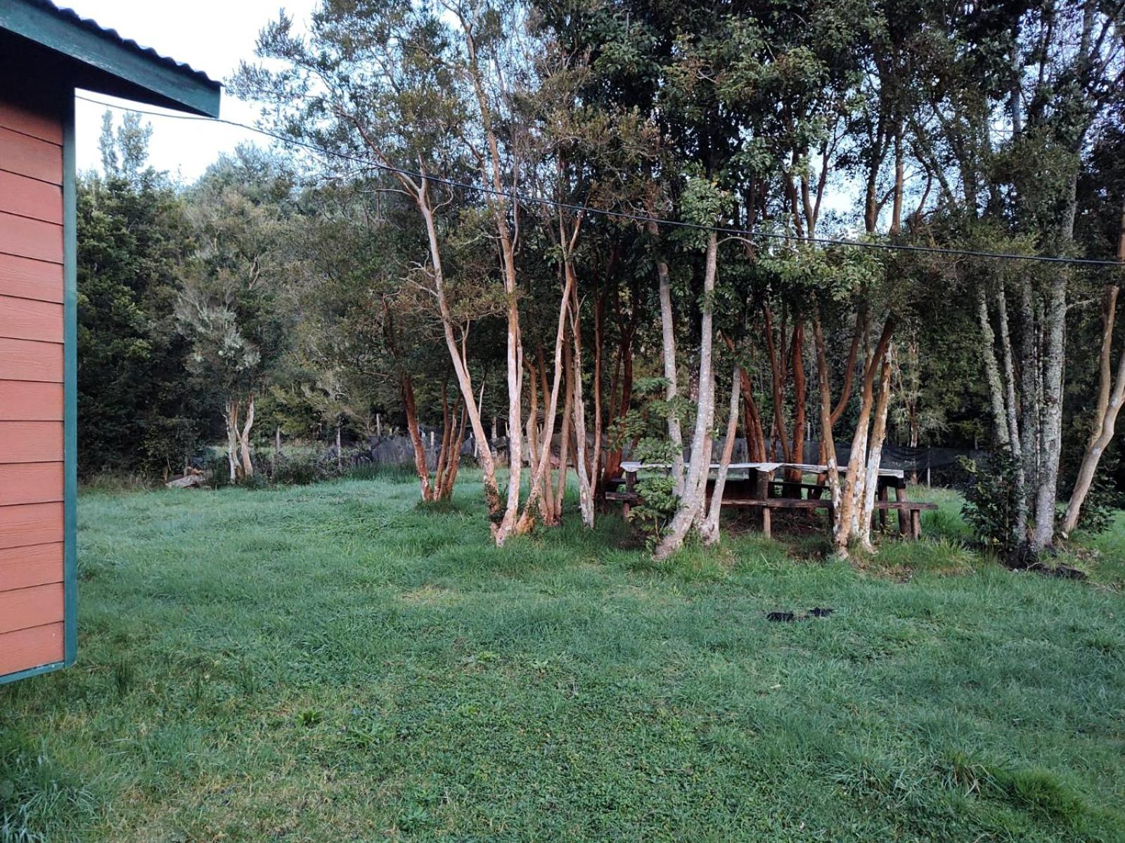 Casa o habitacion en carretera austral