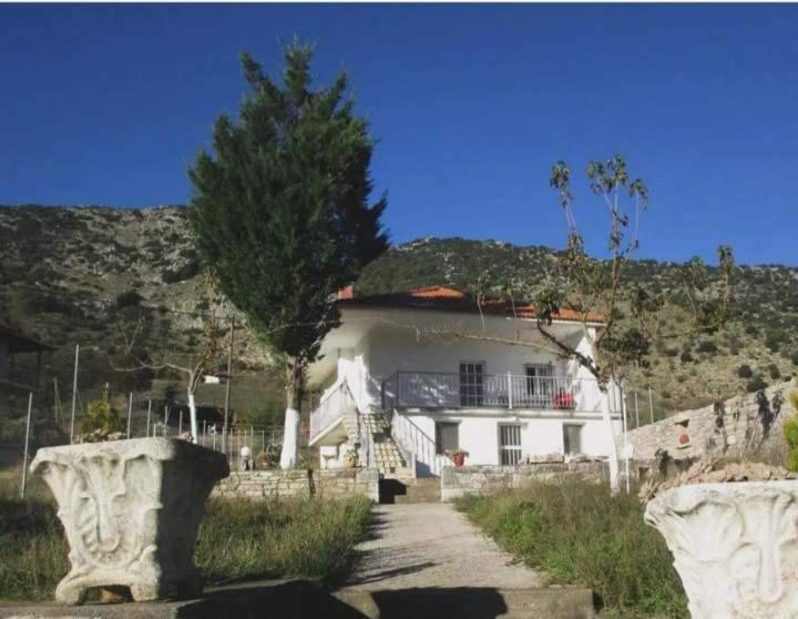 Mirto’s House