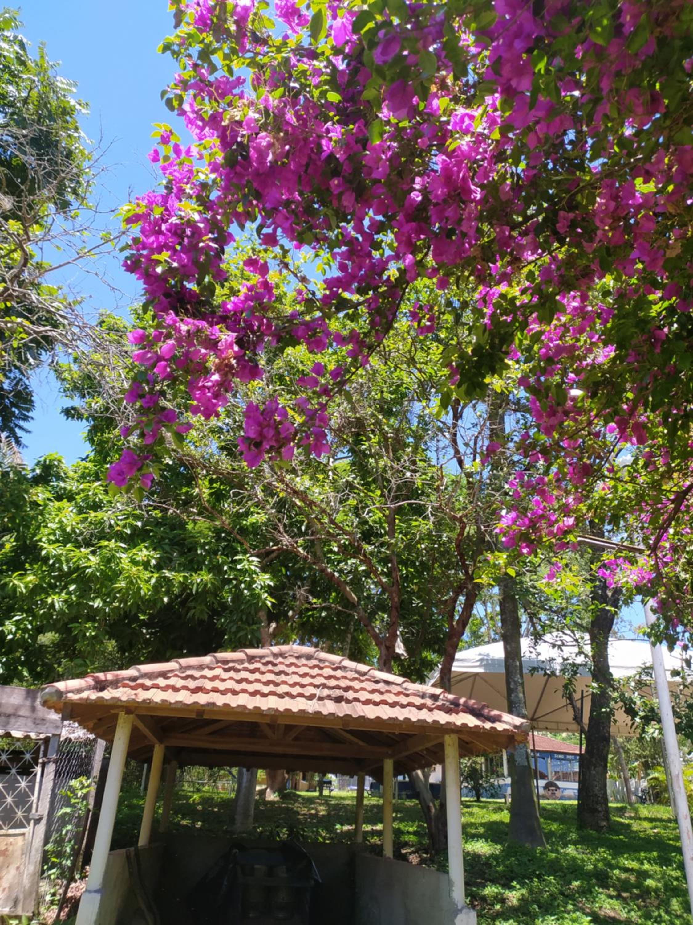 Pousada Sino dos Ventos