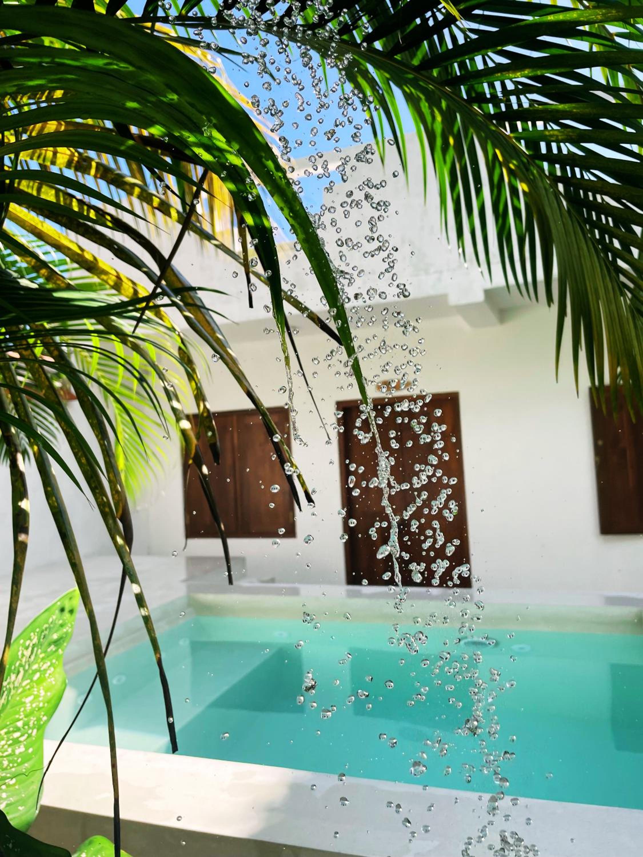 Hotel Sri Lanka Surf Villa Domus Graziella - Image 1