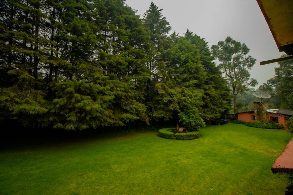 Photo 48