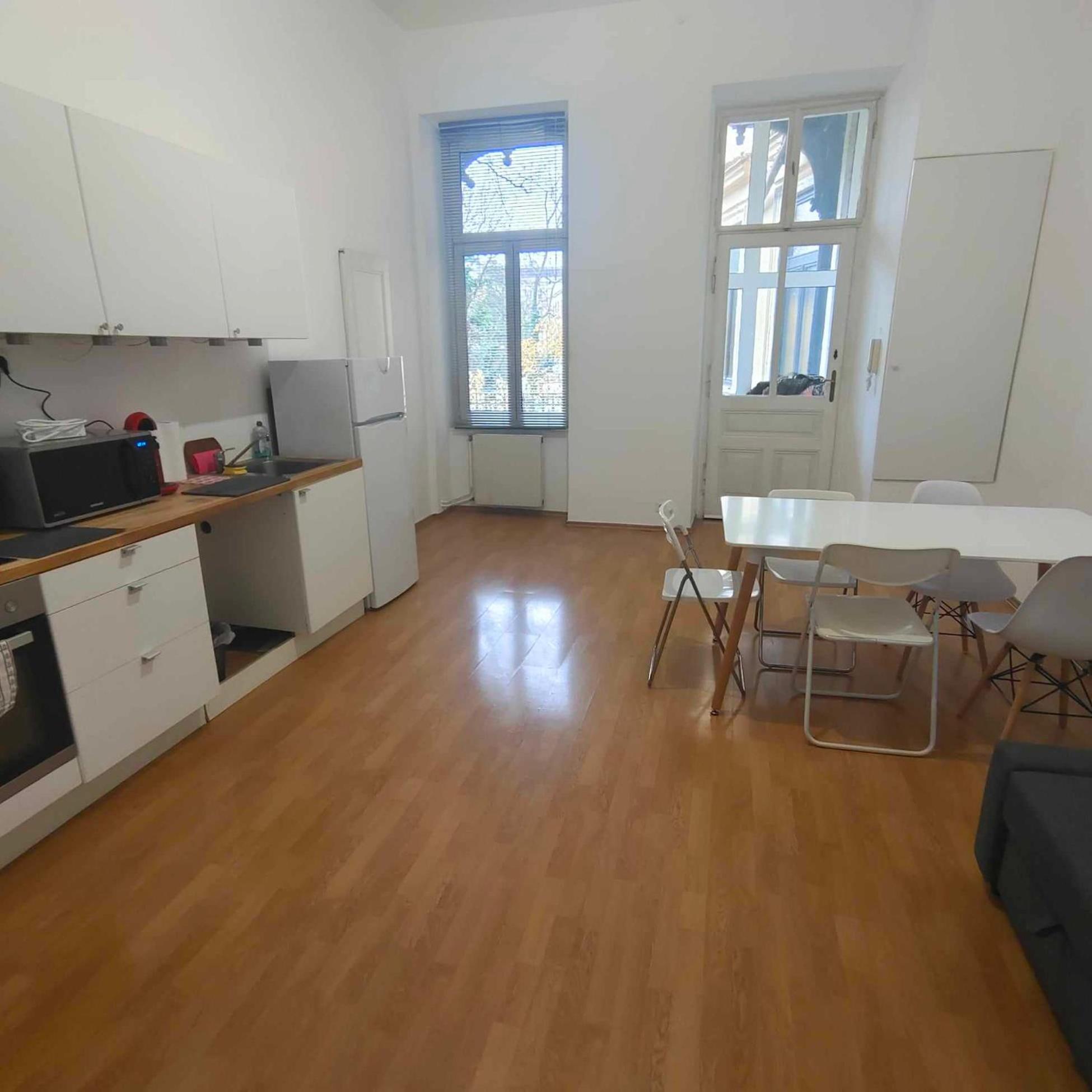 Large 4 room apartment in the center of Vienna