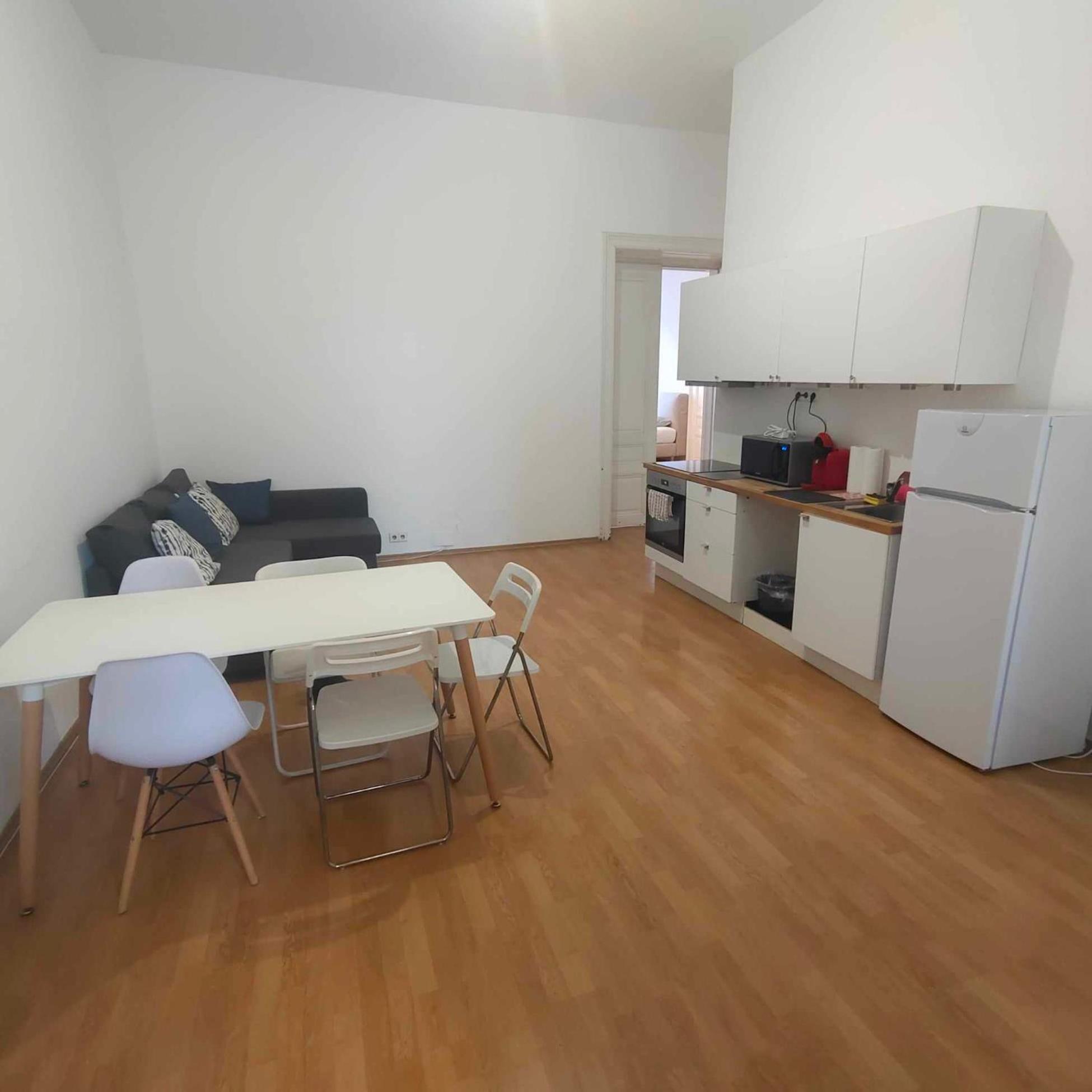 Large 4 room apartment in the center of Vienna