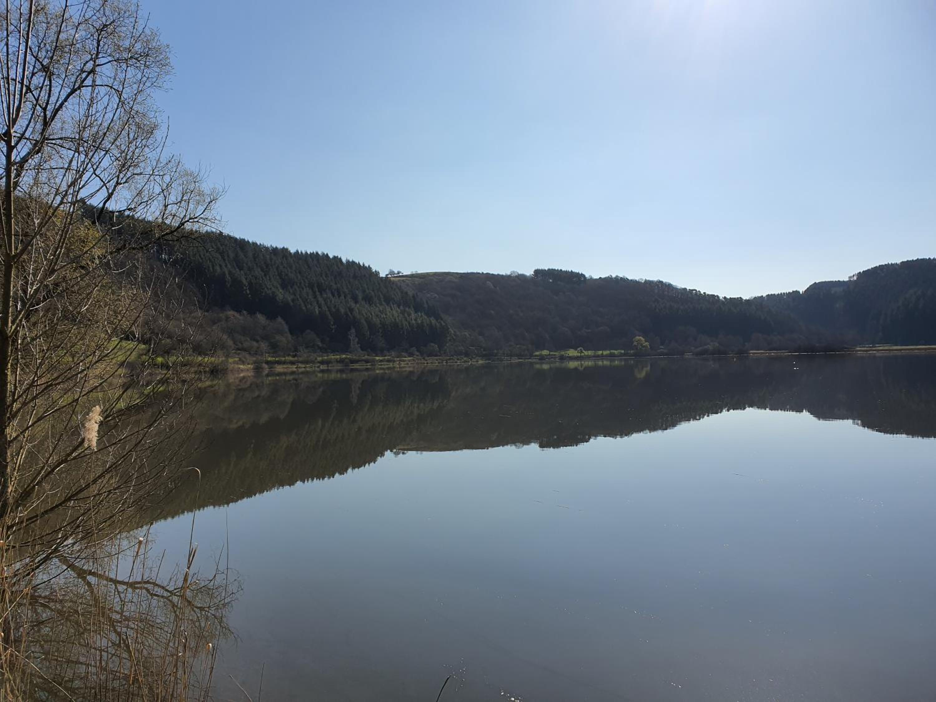 Romantic and Cosy Studio with Lake View in Meerfeld Eifel Region