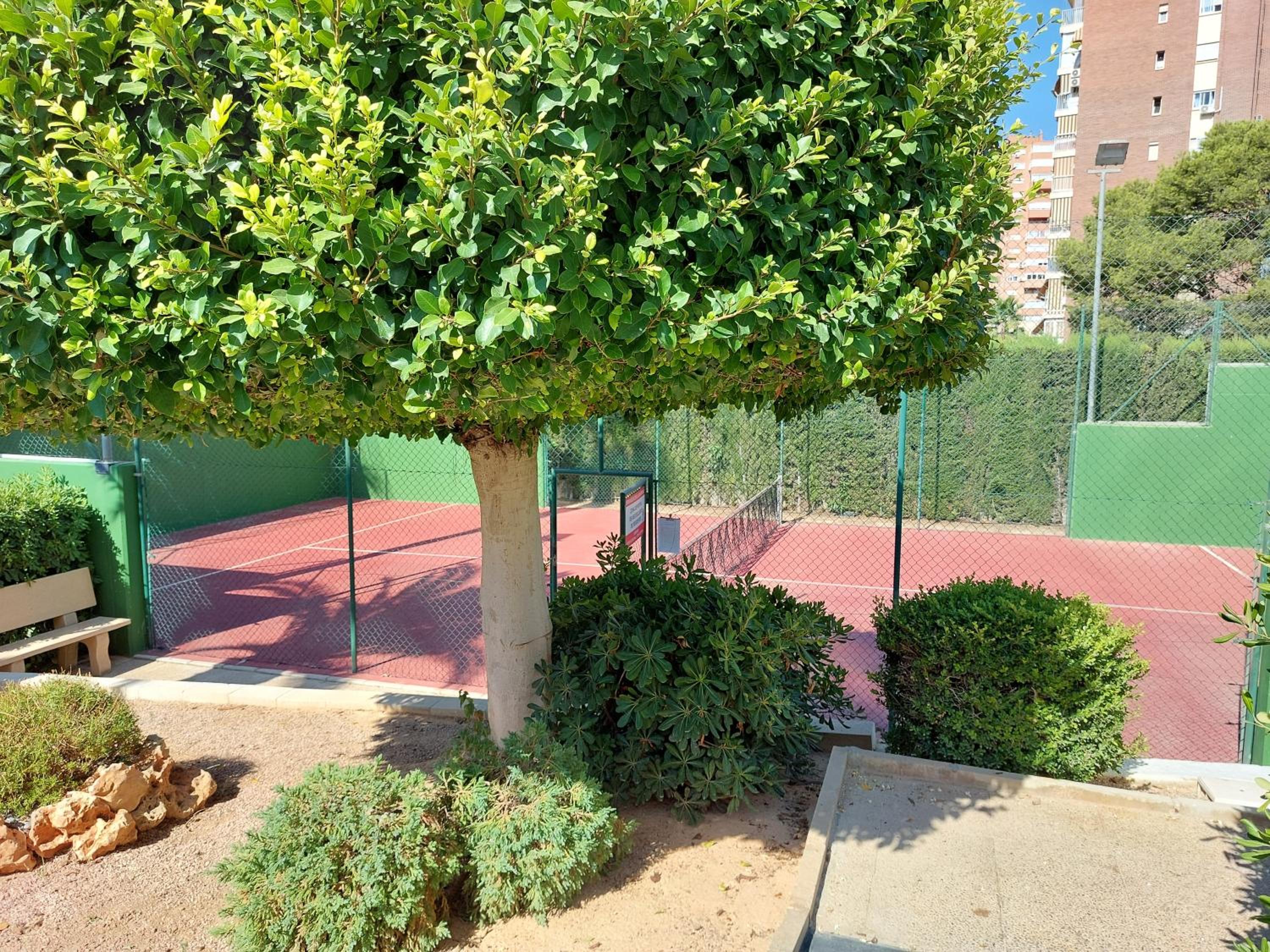 Photo 8