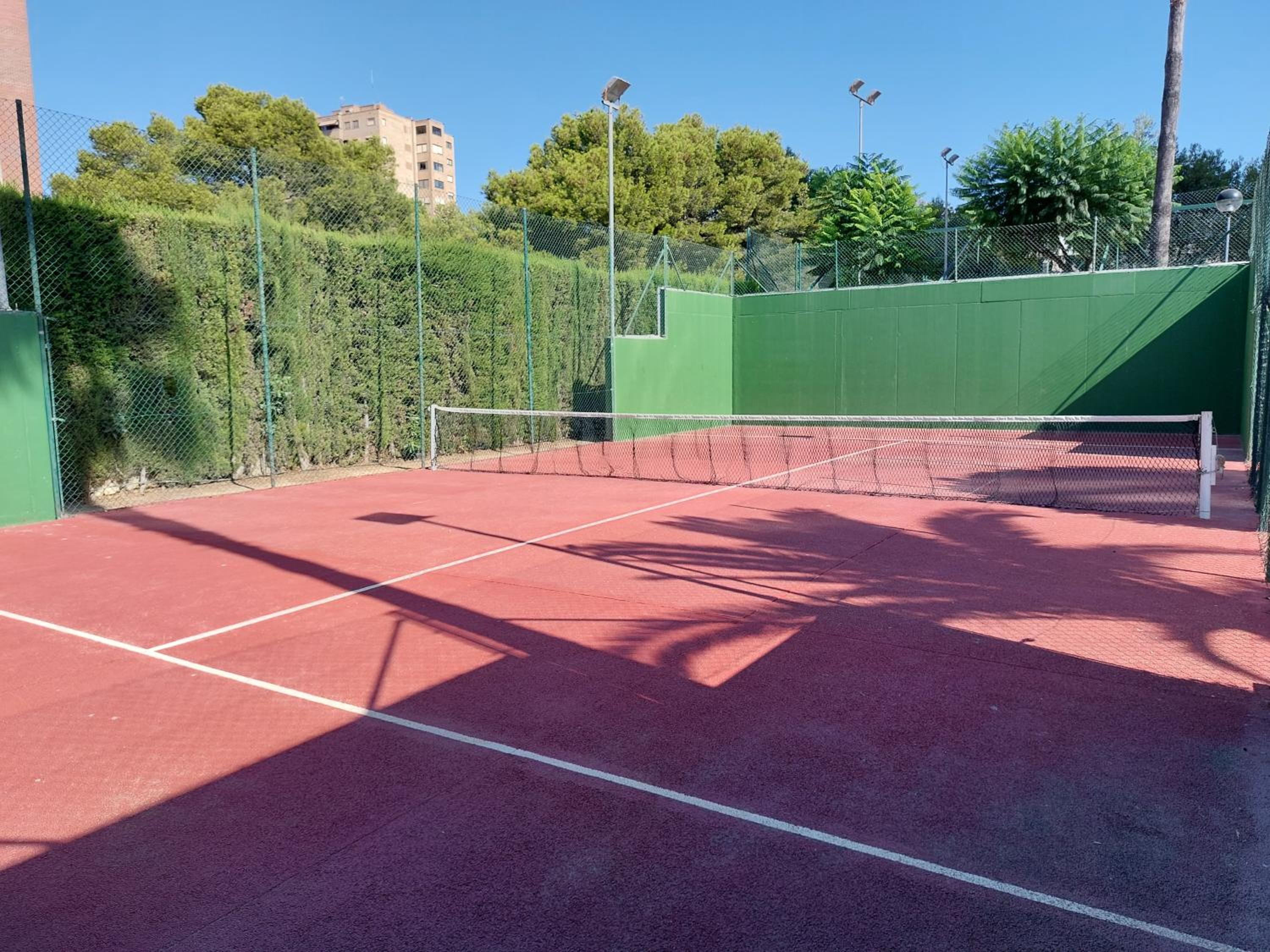 Photo 20