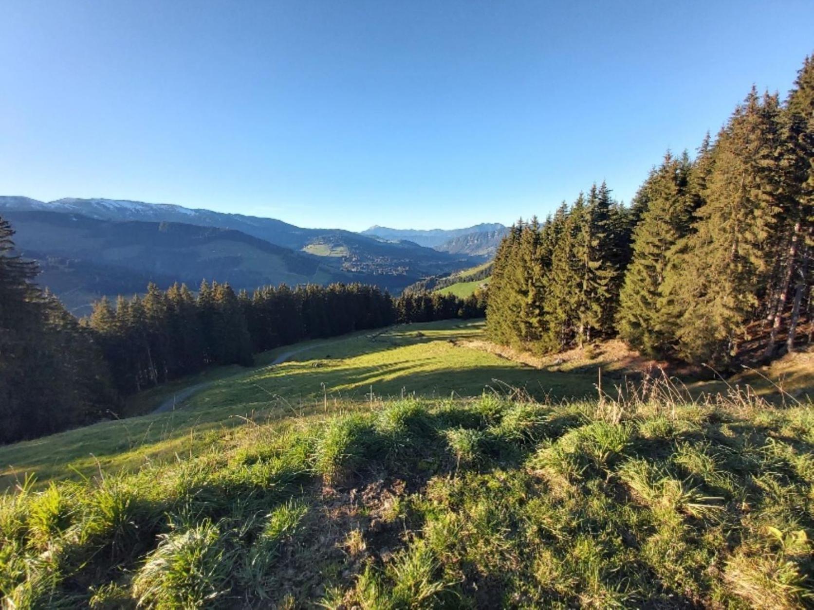 Prädasten-Chalet