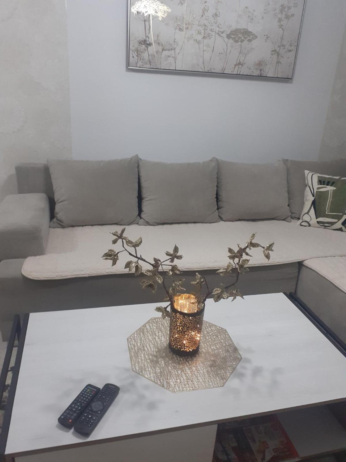 Apartman Pontis Okrug Gornji view 4