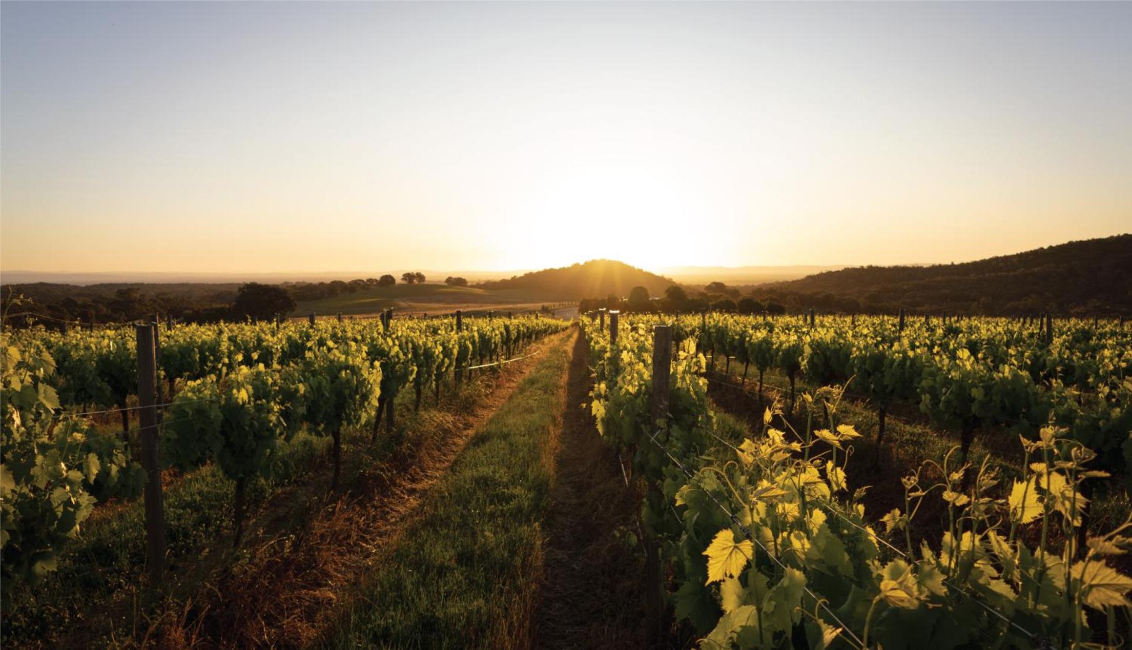 Glenbosch Wine Estate Farm Stays