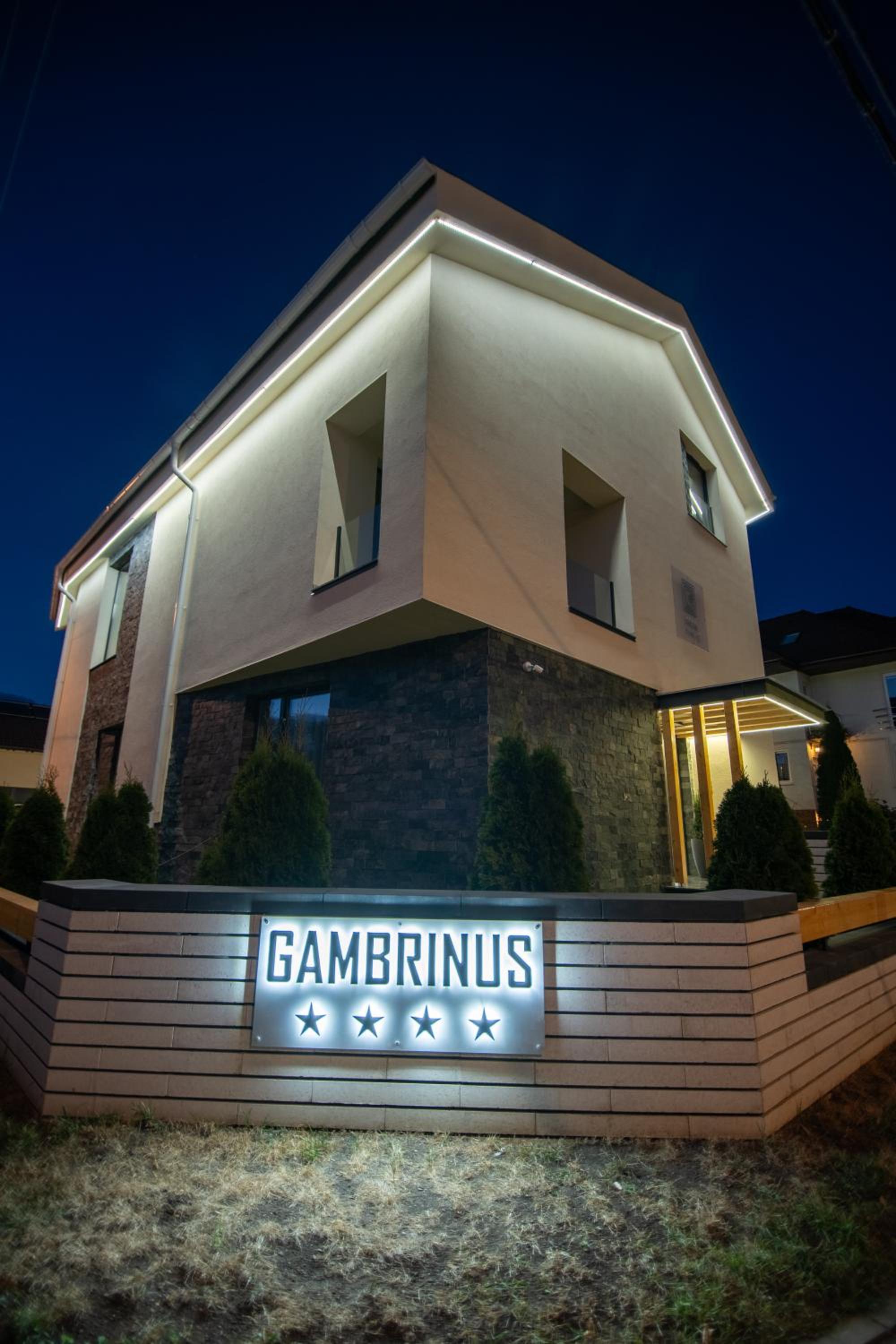 PENSIUNEA GAMBRINUS **** view 3