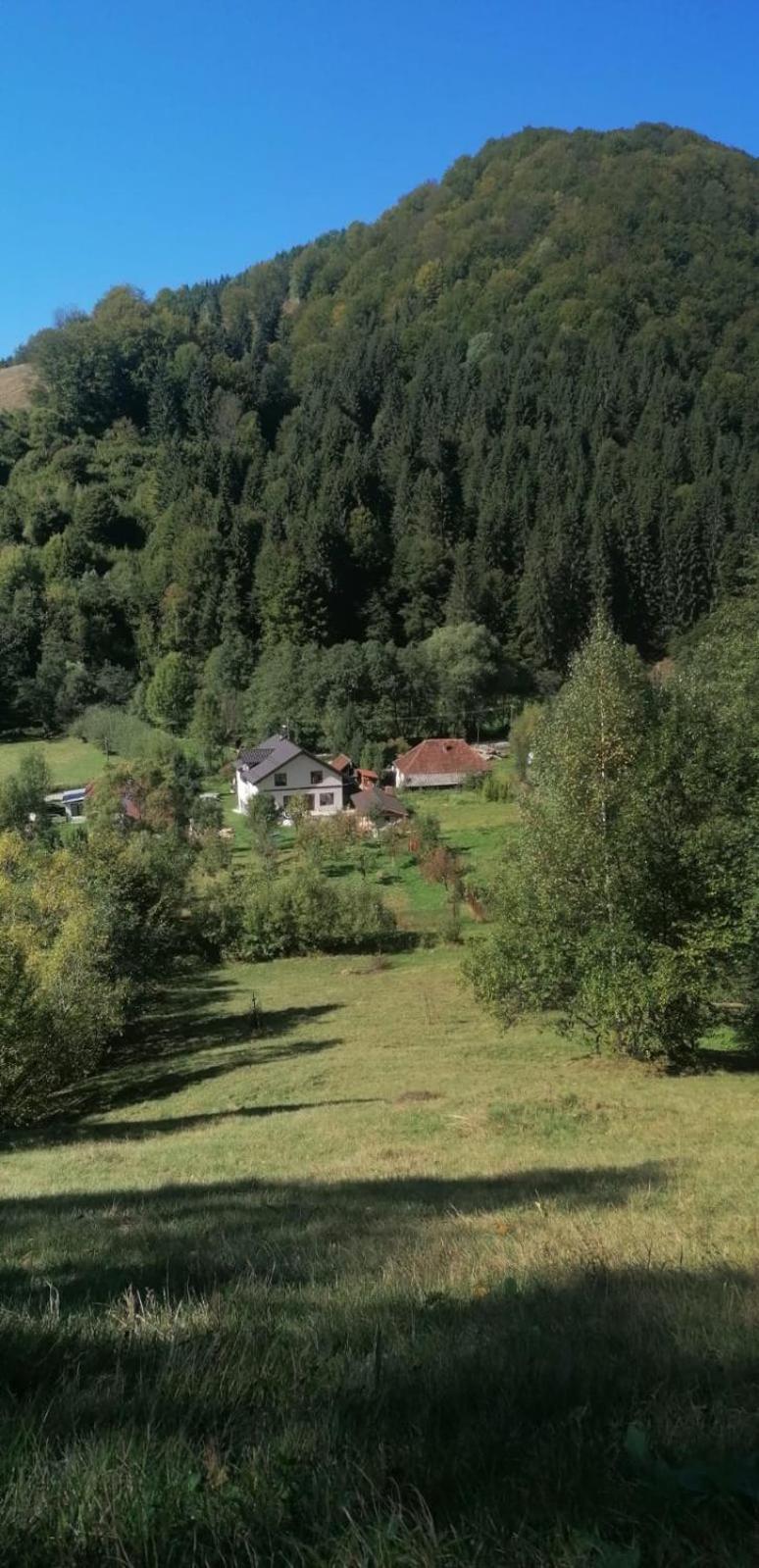 Photo 29