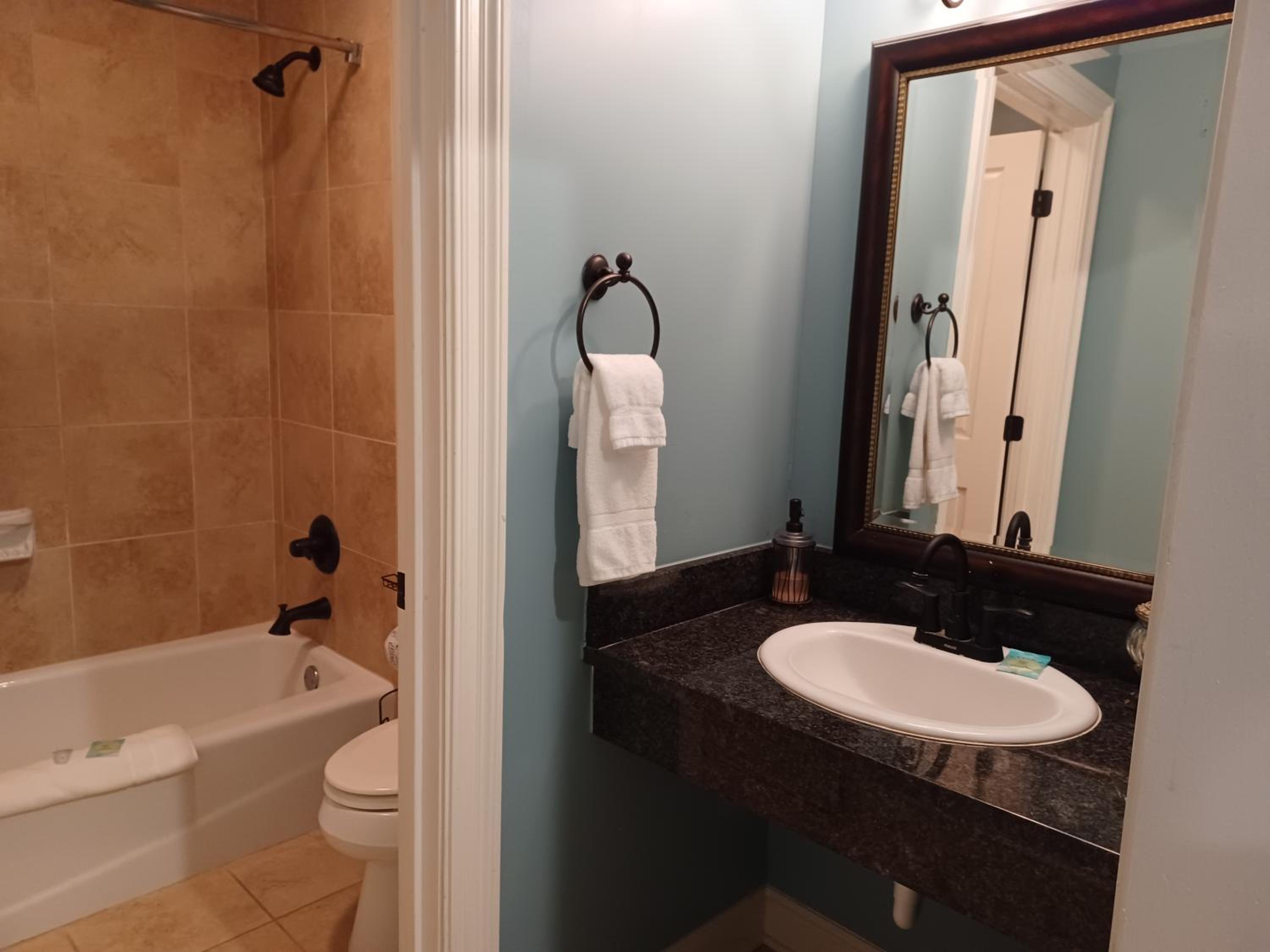 Natchez Vacations - Natchez Manor Bed  Breakfast - Property Image 11