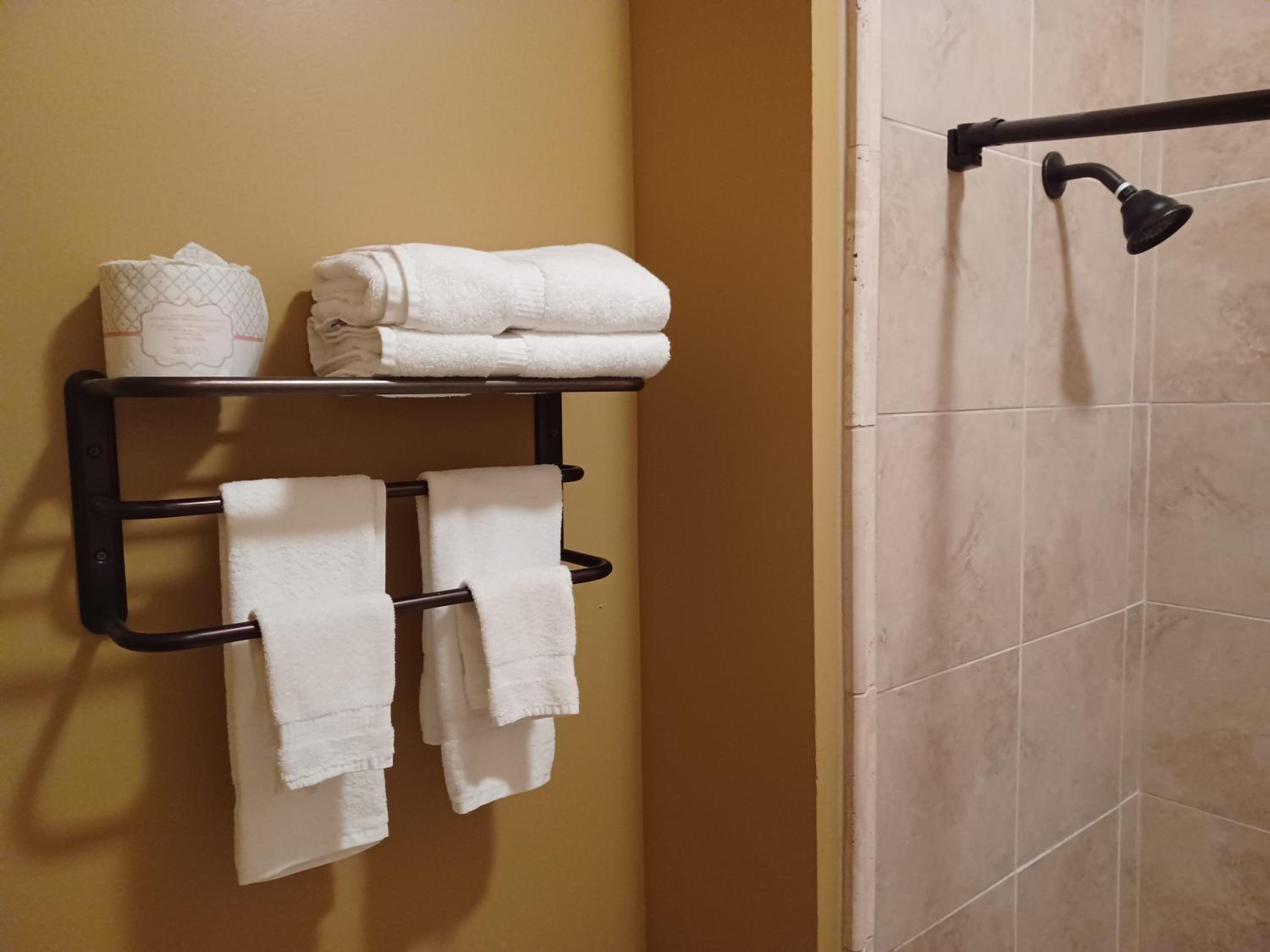 Natchez Vacations - Natchez Manor Bed  Breakfast - Property Image 6