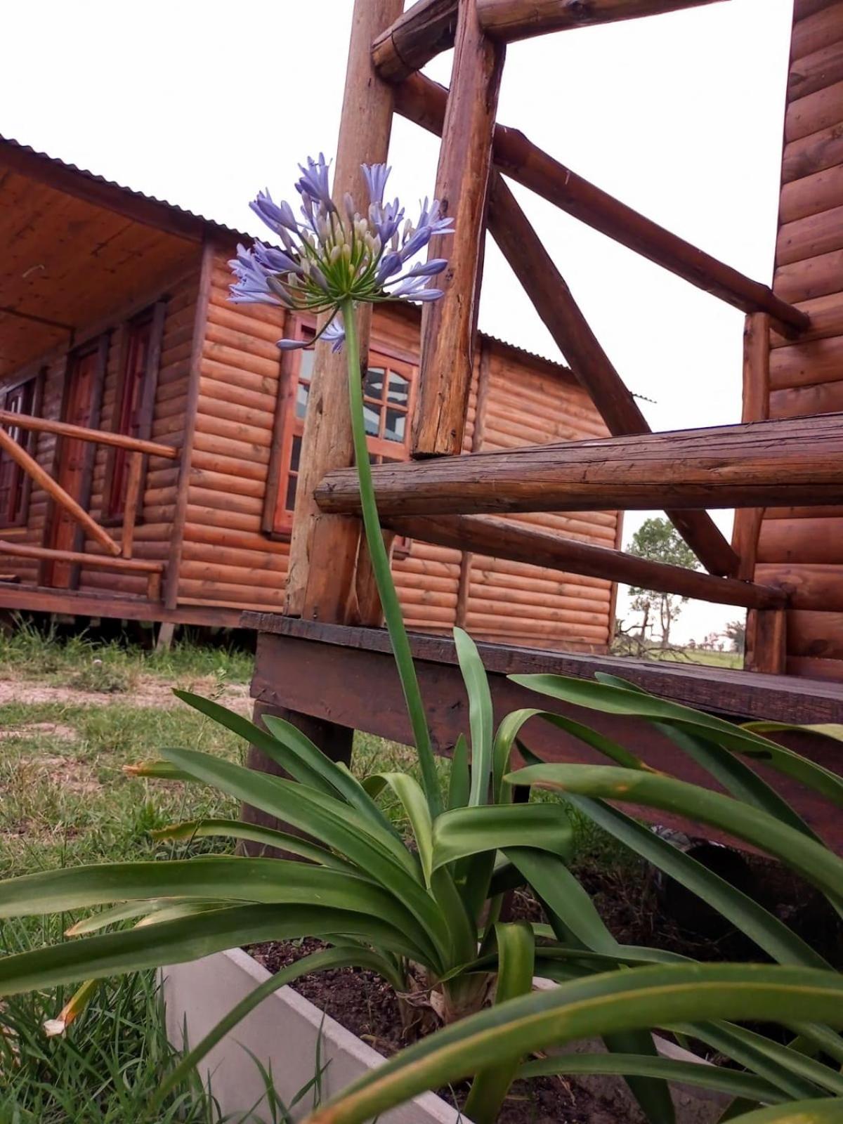 Cabañas Las Escondidas 3