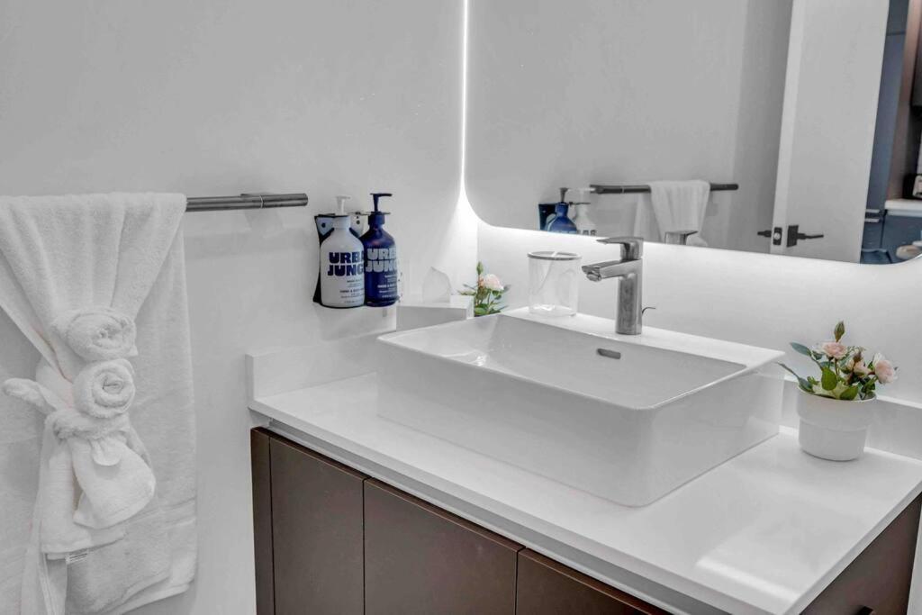 Breathtaking studio in the Heart Miami