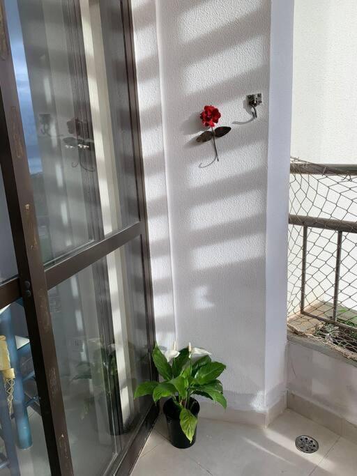 Apartamento em Caraguatatuba