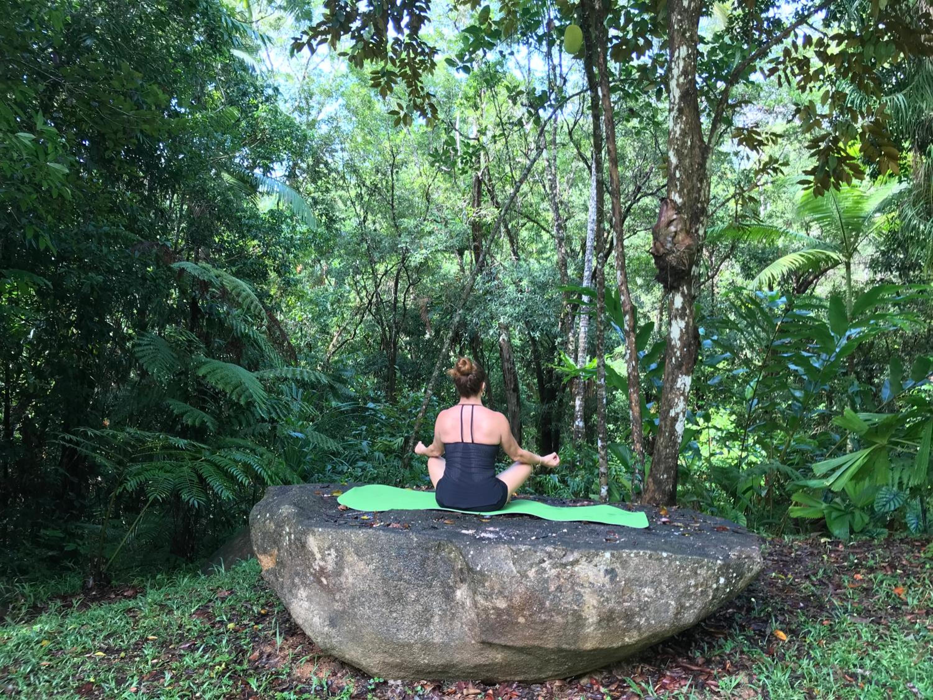Daintree Secrets Rainforest Sanctuary