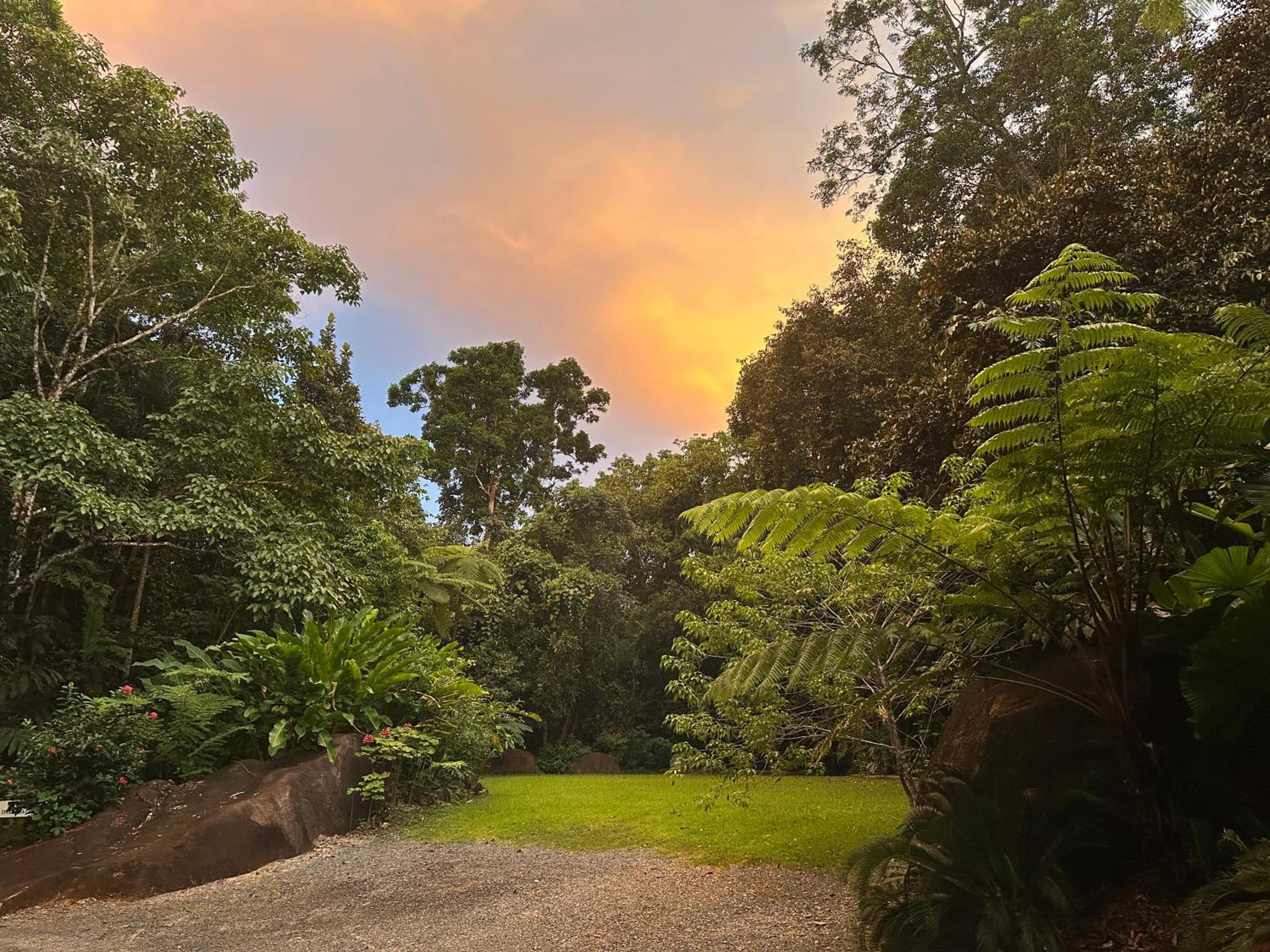Daintree Secrets Rainforest Sanctuary