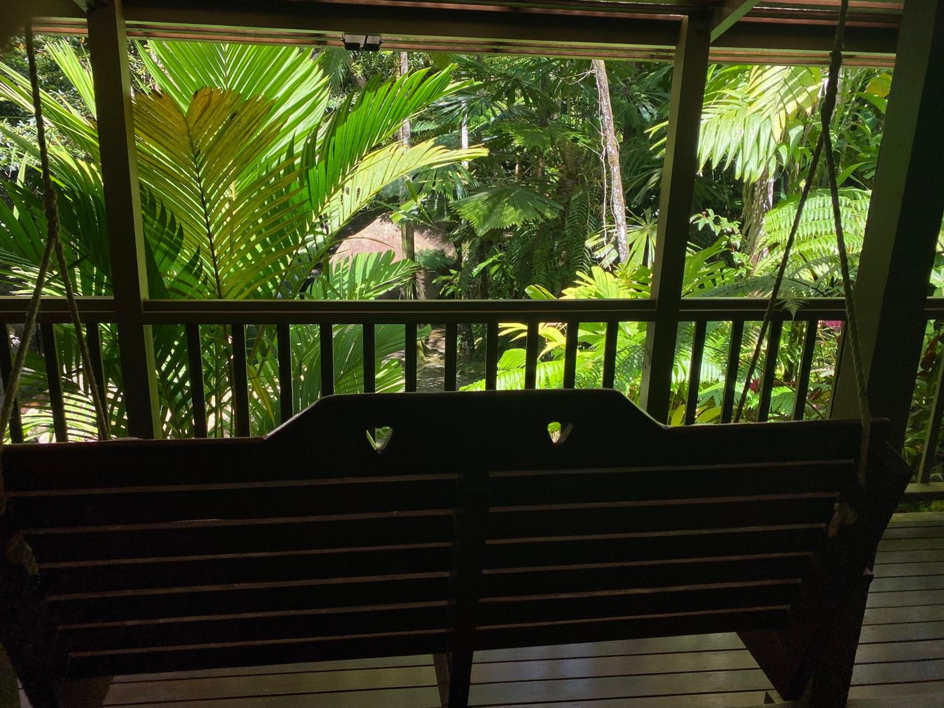 Daintree Secrets Rainforest Sanctuary
