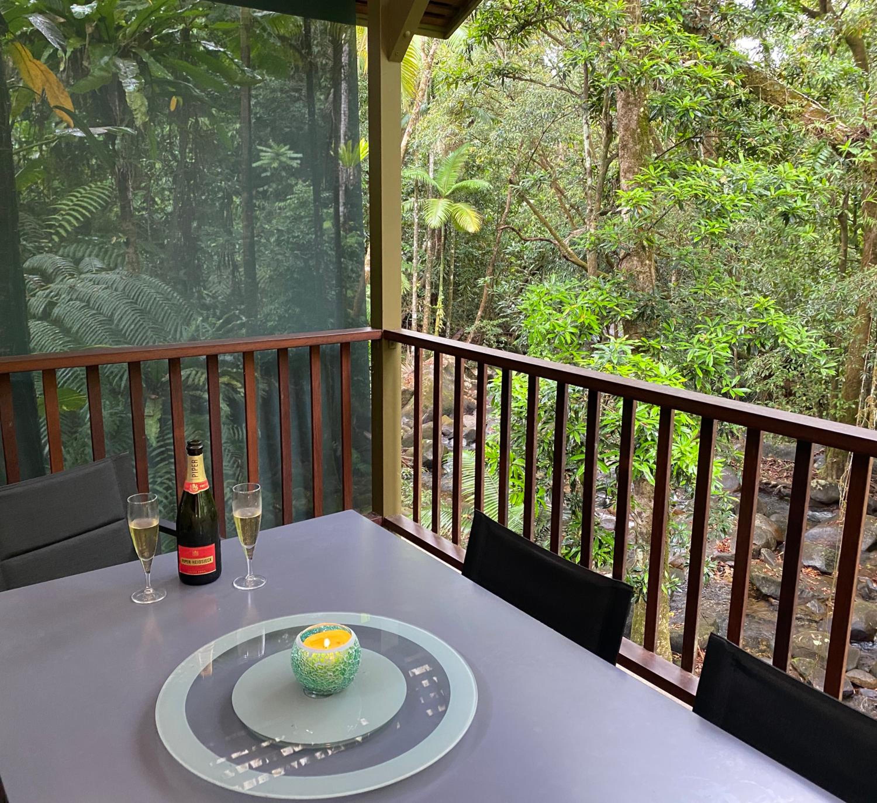 Daintree Secrets Rainforest Sanctuary