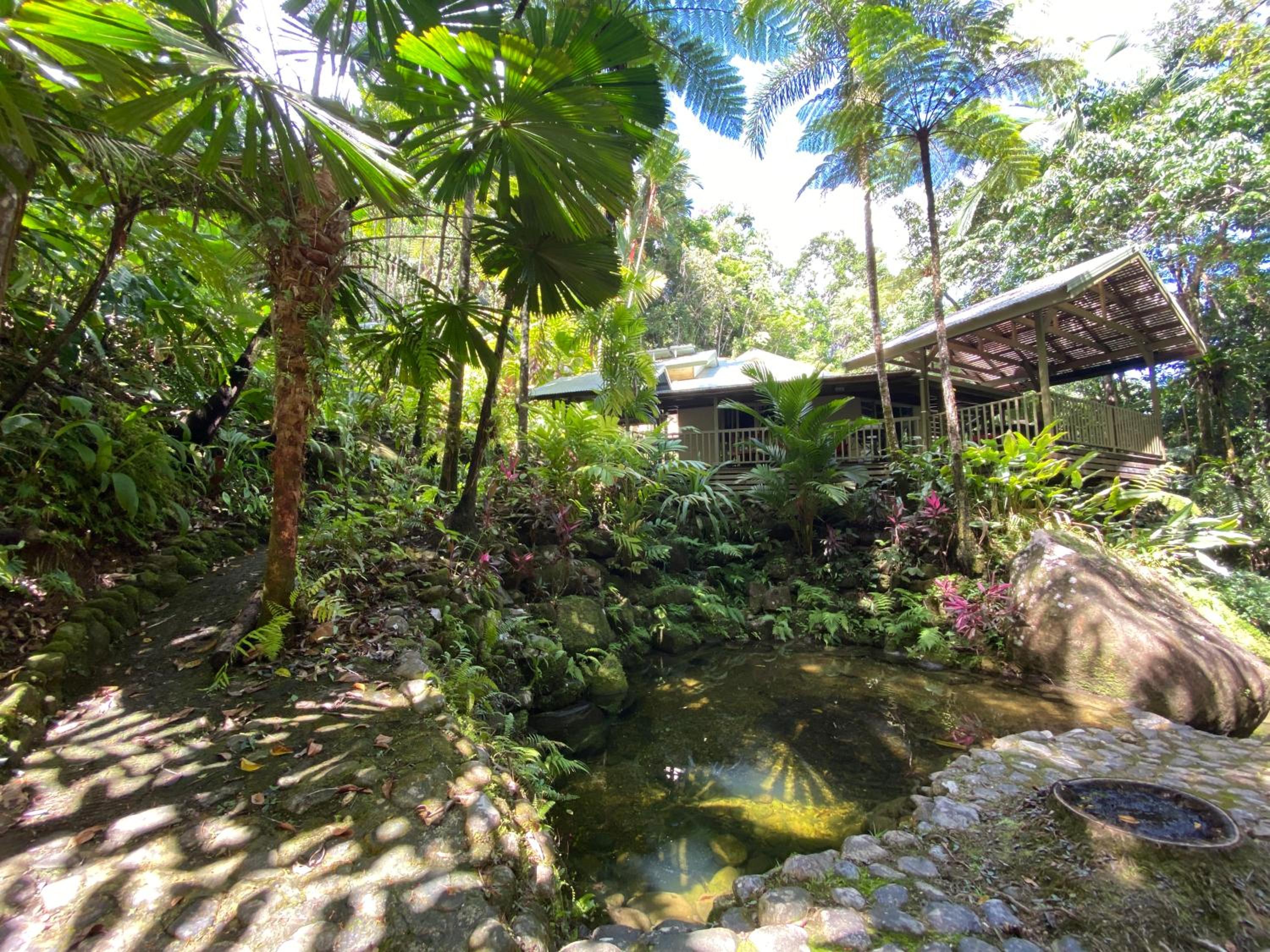 Daintree Secrets Rainforest Sanctuary