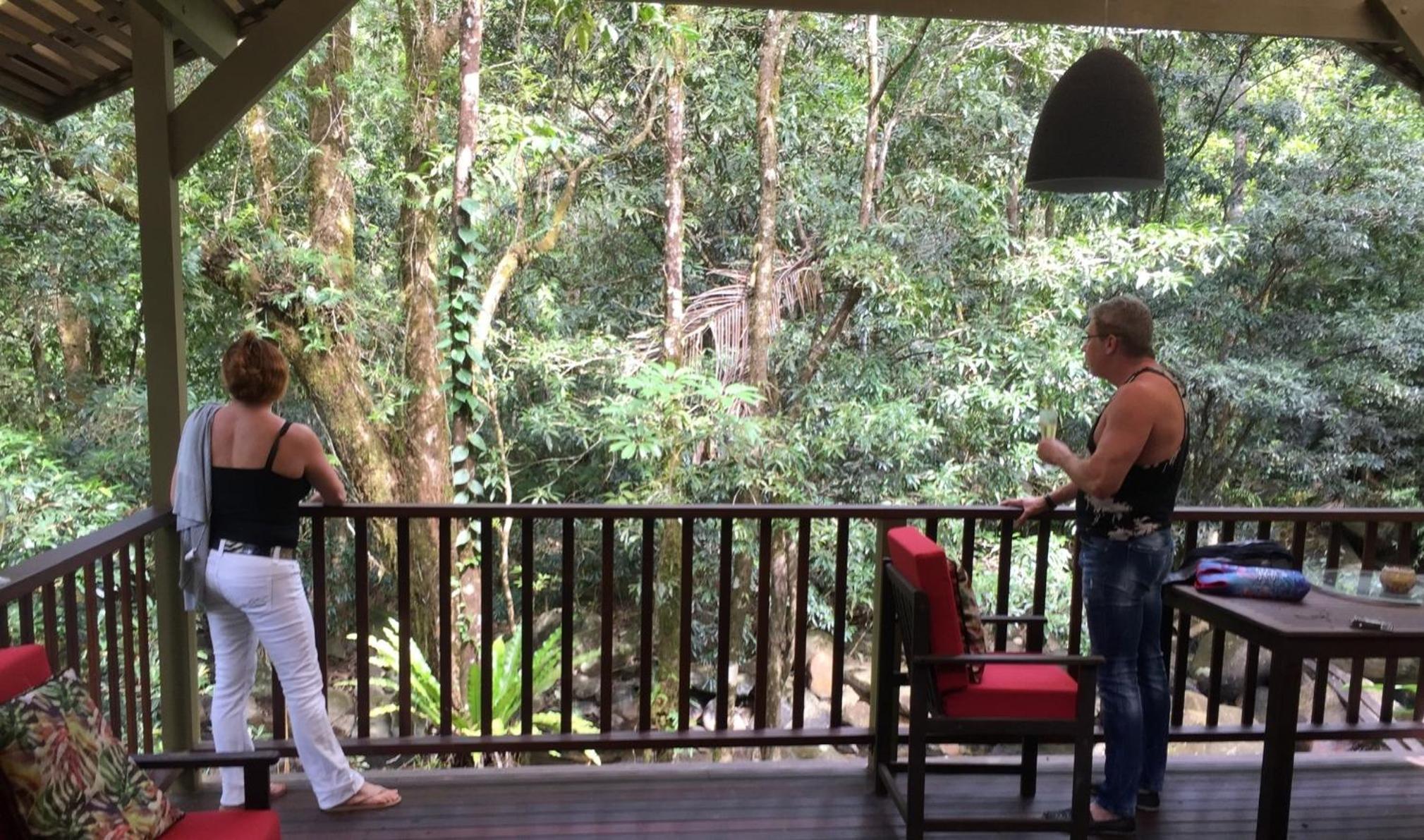 Daintree Secrets Rainforest Sanctuary