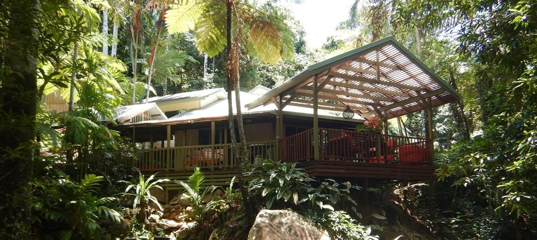 Daintree Secrets Rainforest Sanctuary