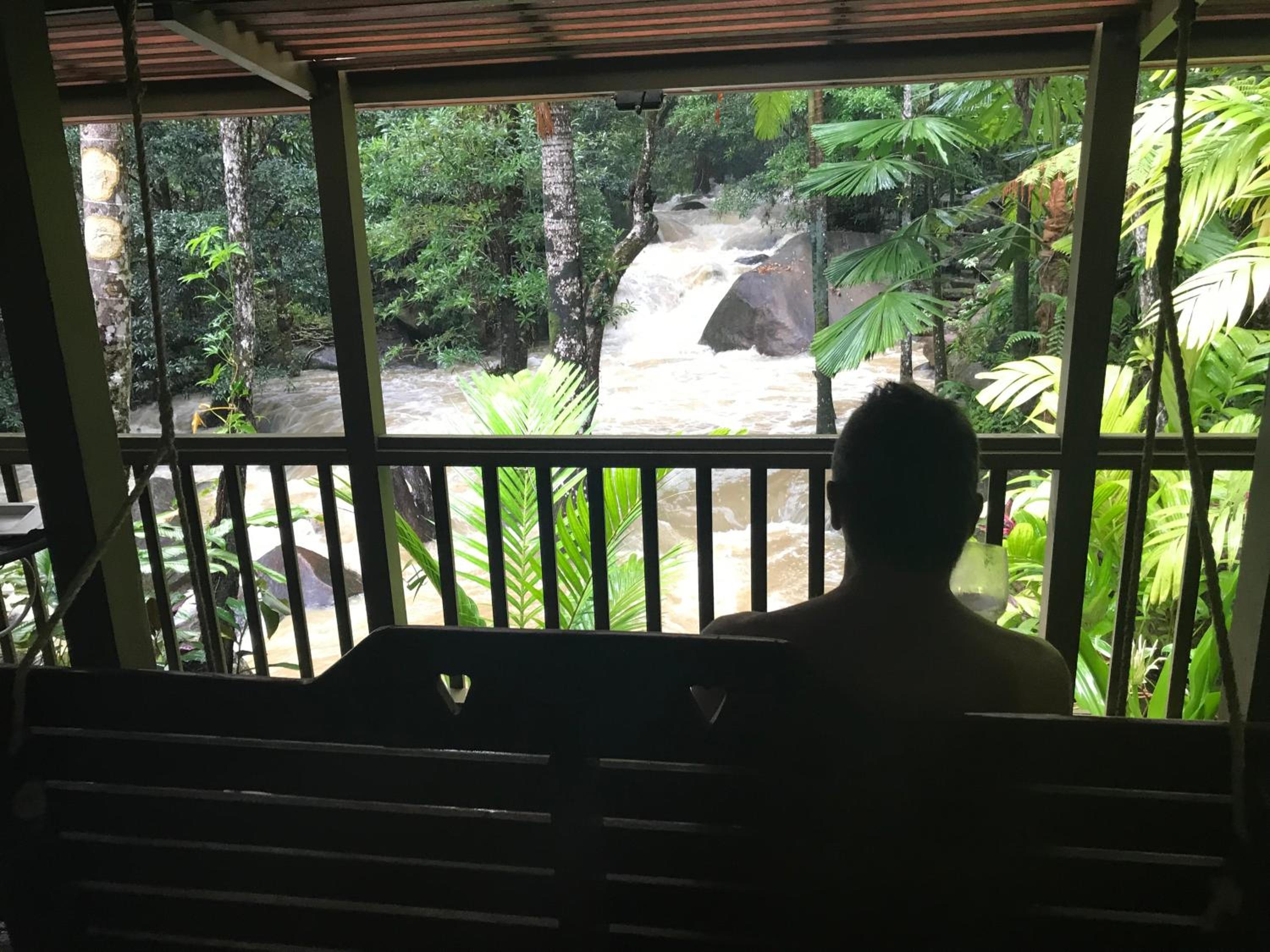Daintree Secrets Rainforest Sanctuary