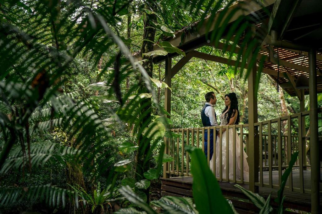 Daintree Secrets Rainforest Sanctuary