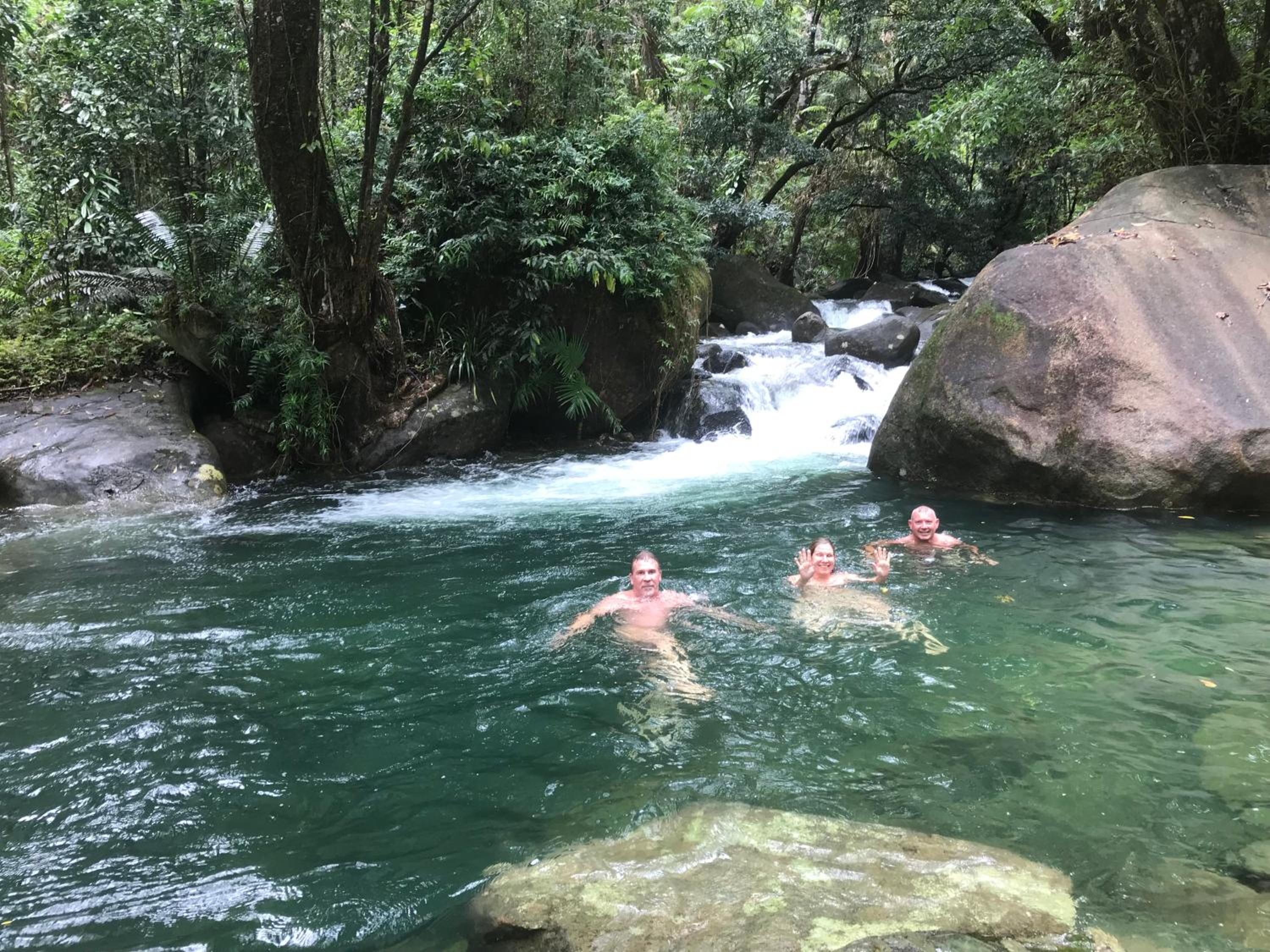 Daintree Secrets Rainforest Sanctuary
