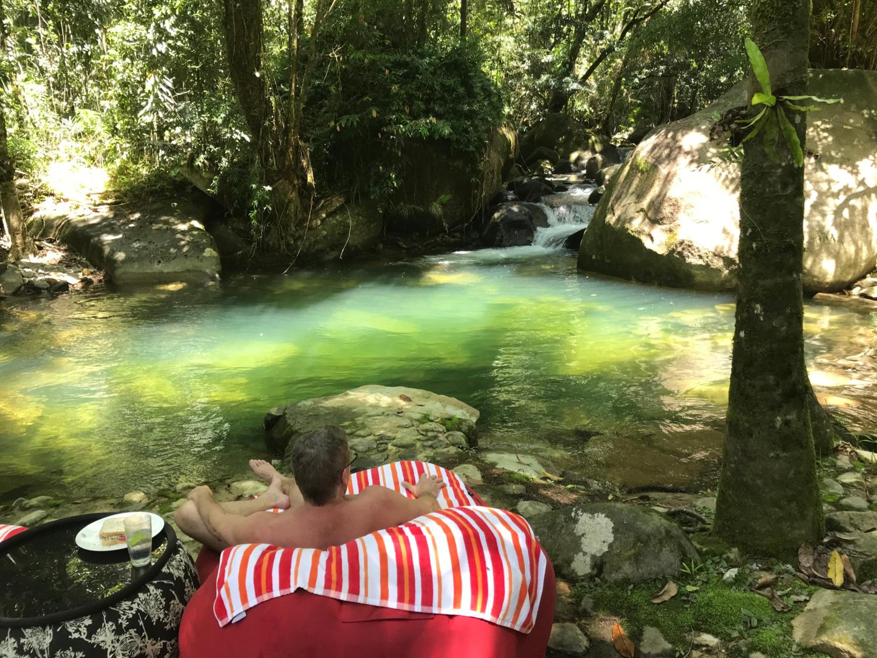 Daintree Secrets Rainforest Sanctuary