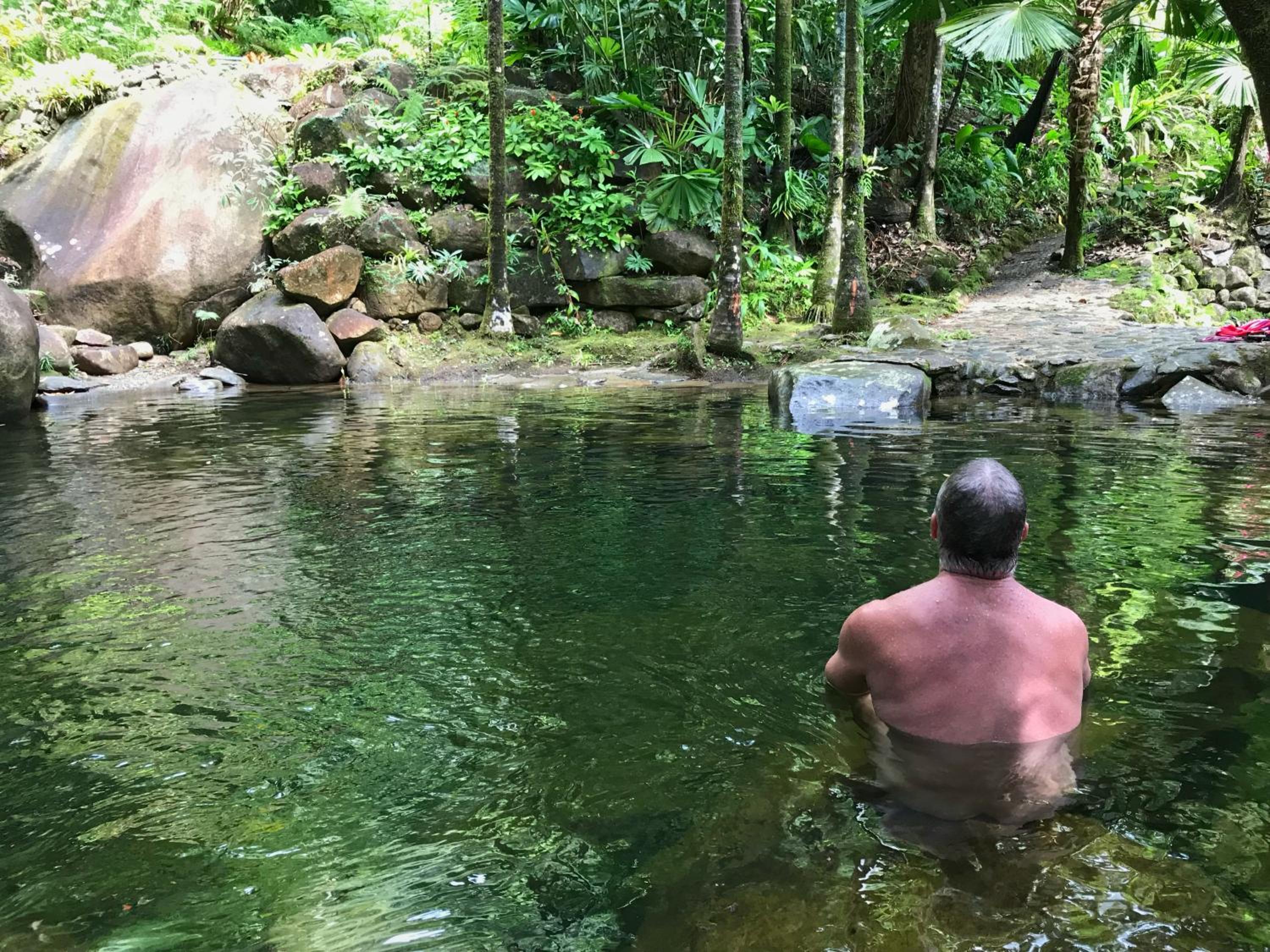 Daintree Secrets Rainforest Sanctuary