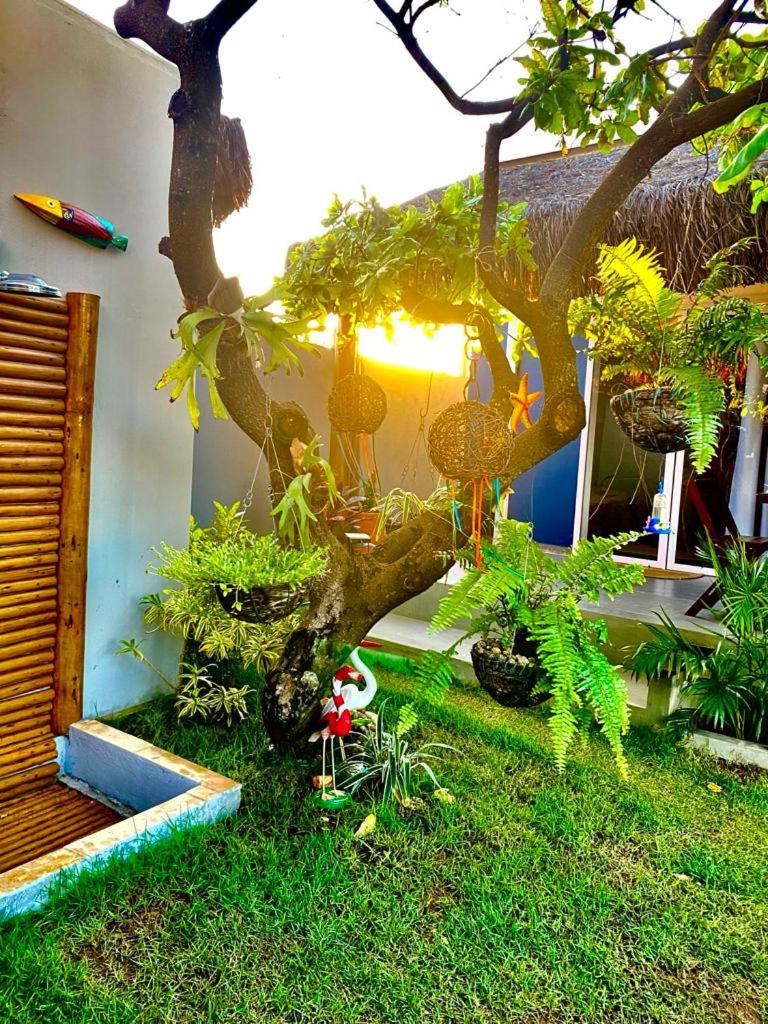 Noah Hostel & Chale