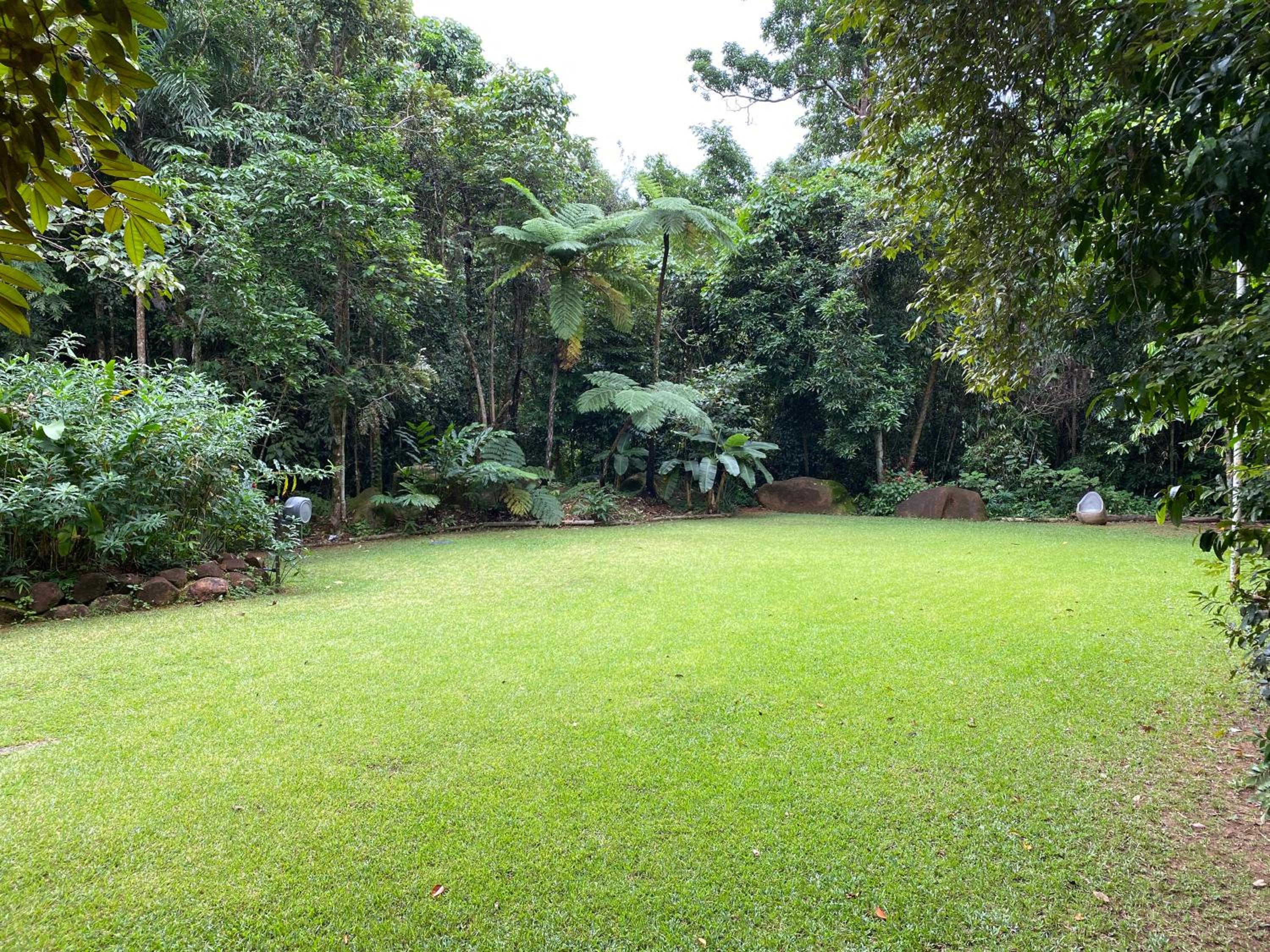 Daintree Secrets Rainforest Sanctuary