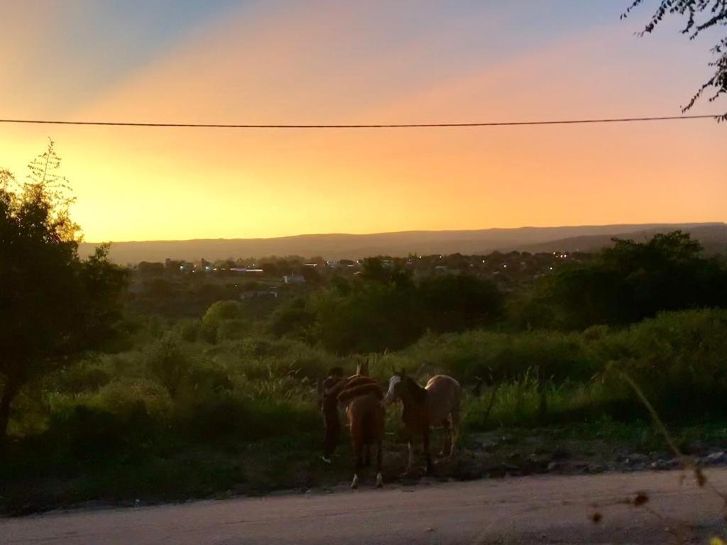 CASA DE CAMPO
