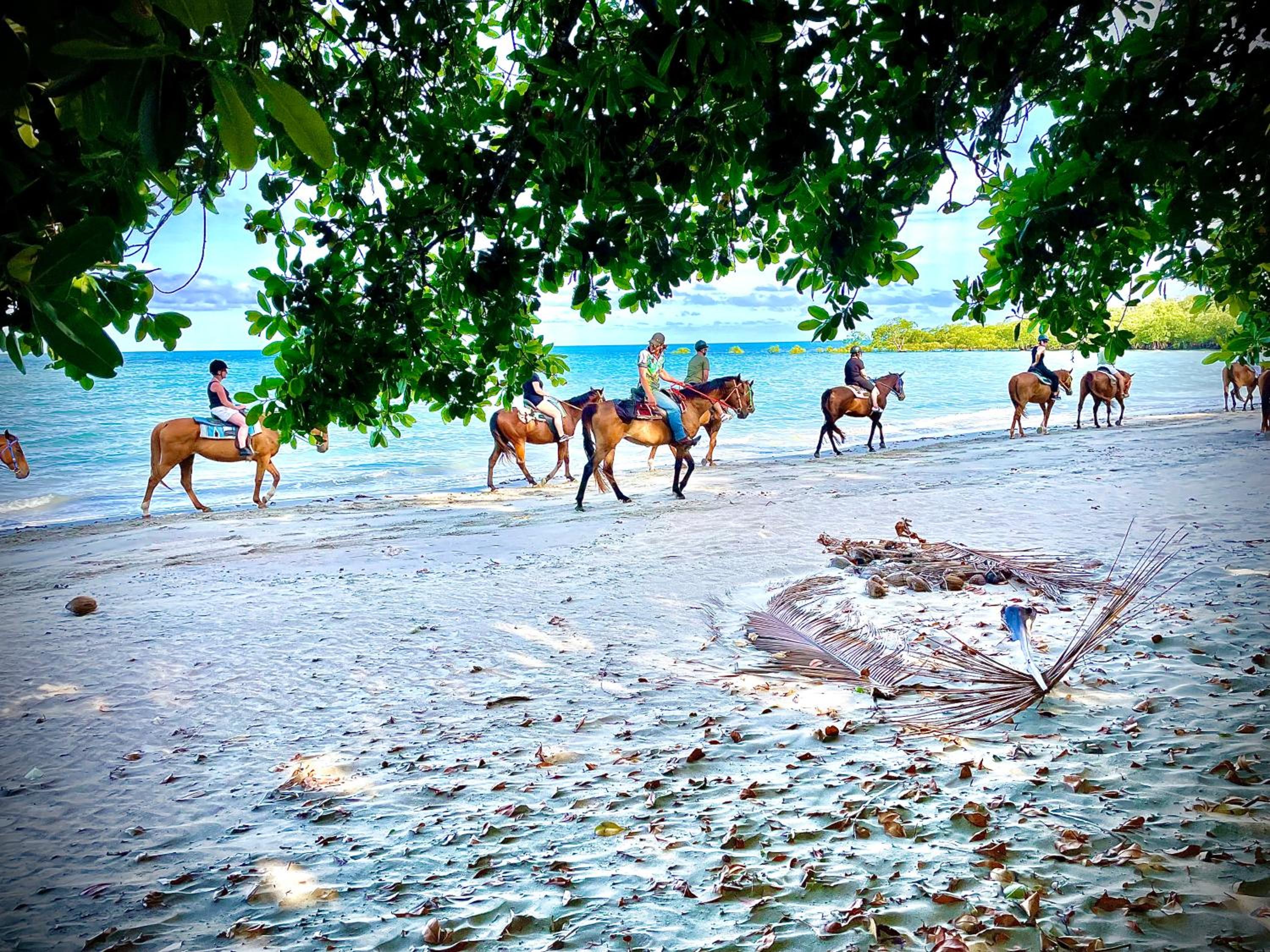 Daintree Secrets Rainforest Sanctuary