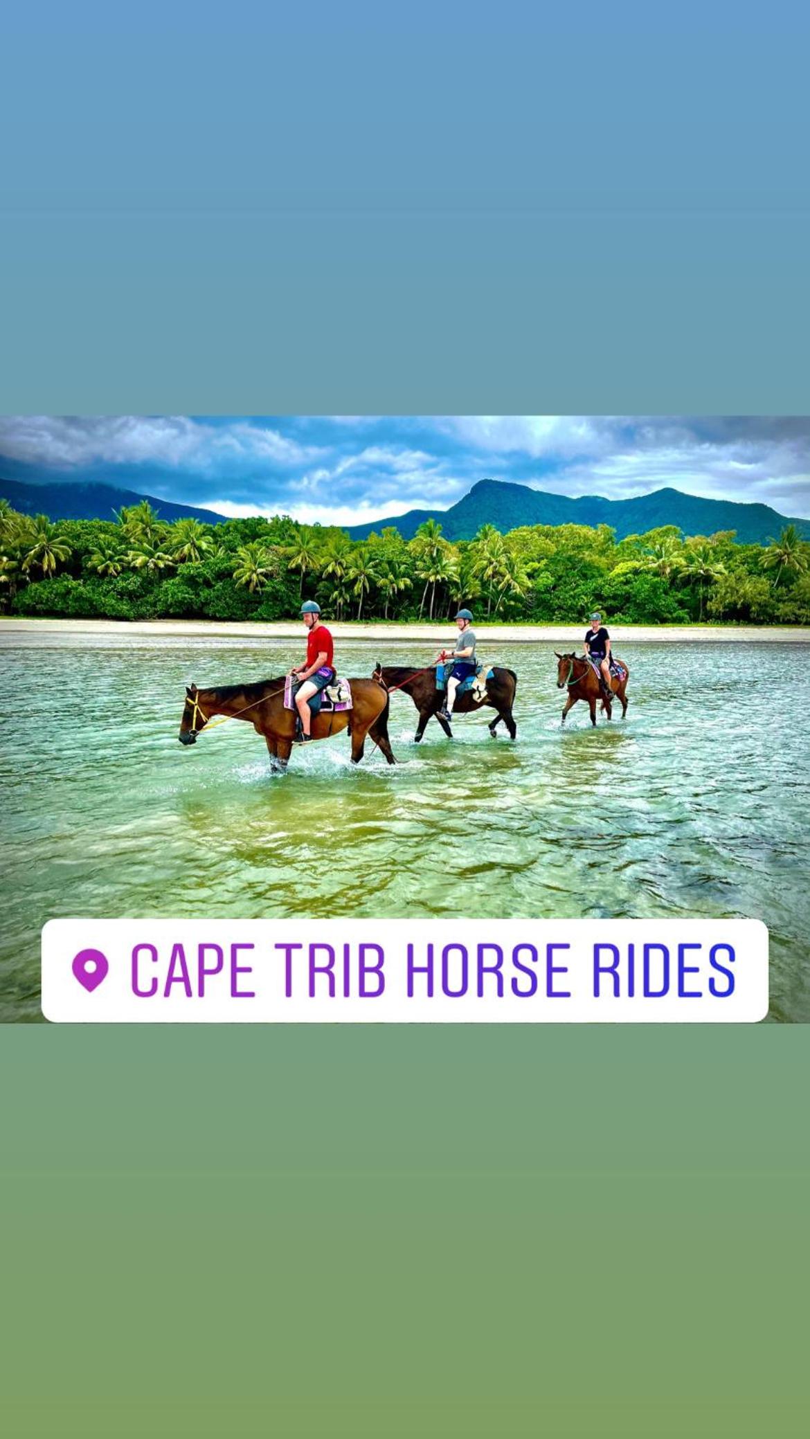 Daintree Secrets Rainforest Sanctuary