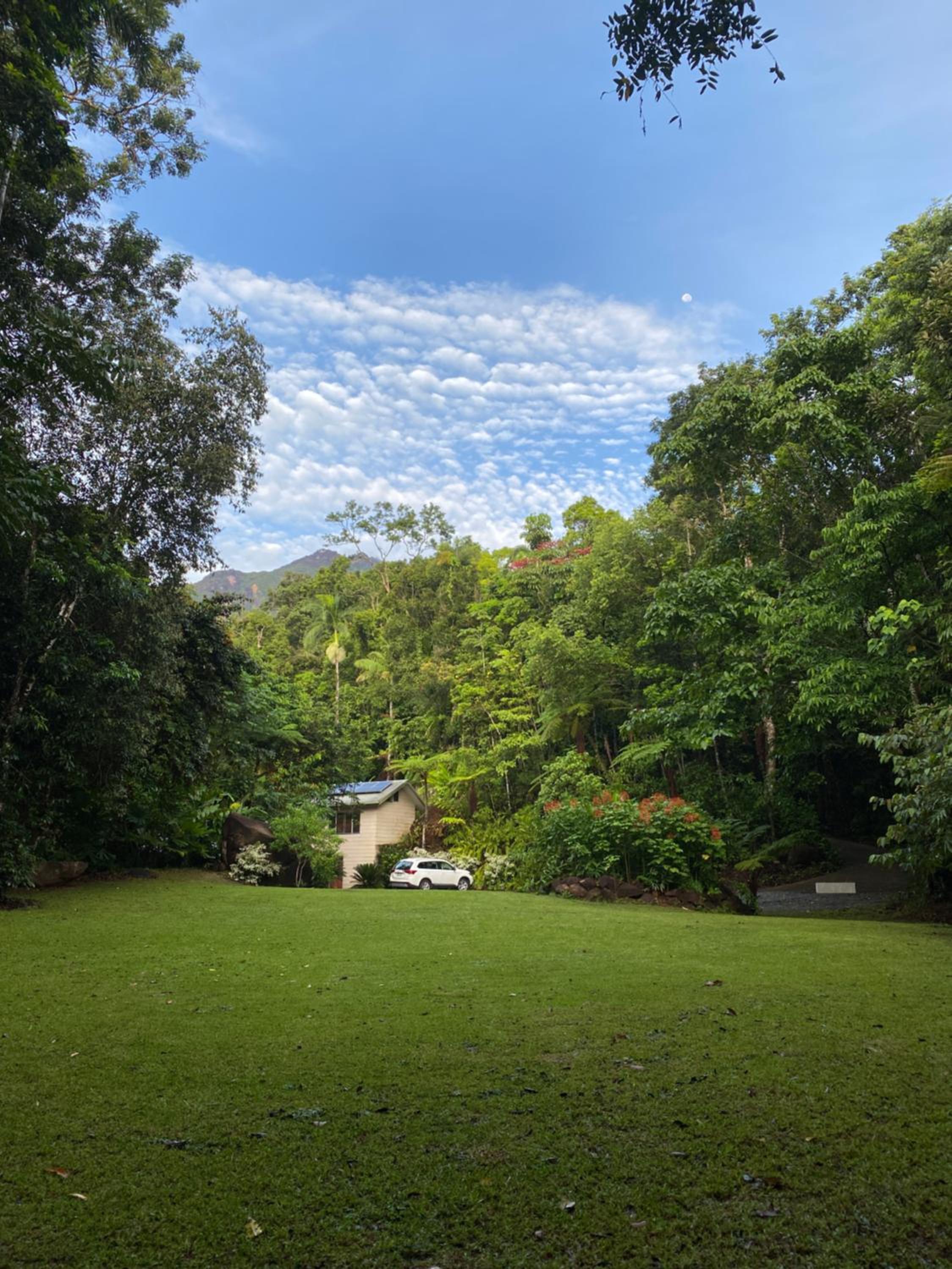 Daintree Secrets Rainforest Sanctuary