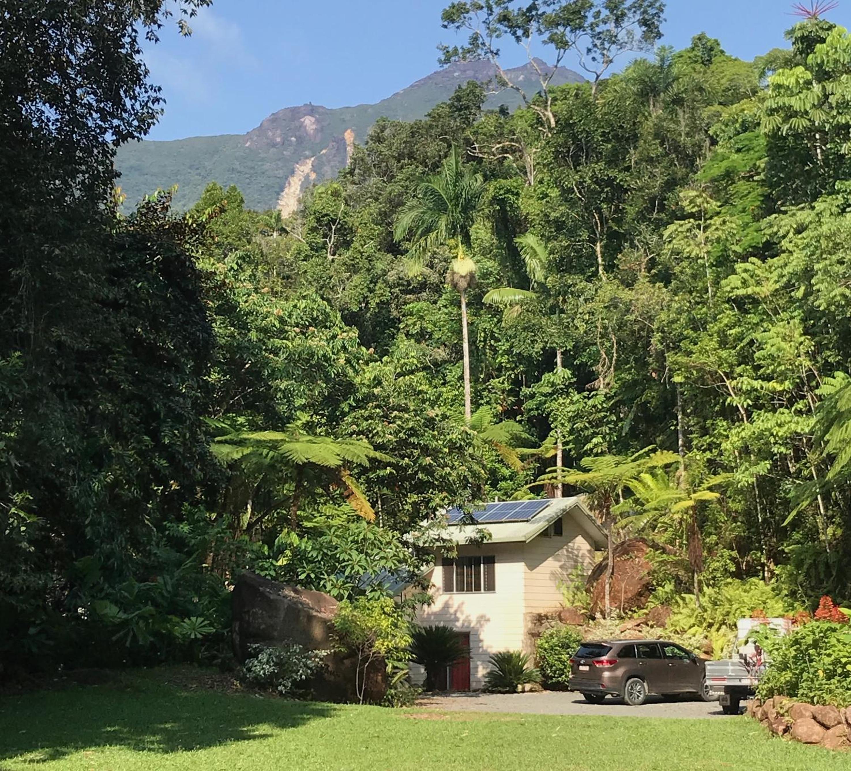 Daintree Secrets Rainforest Sanctuary