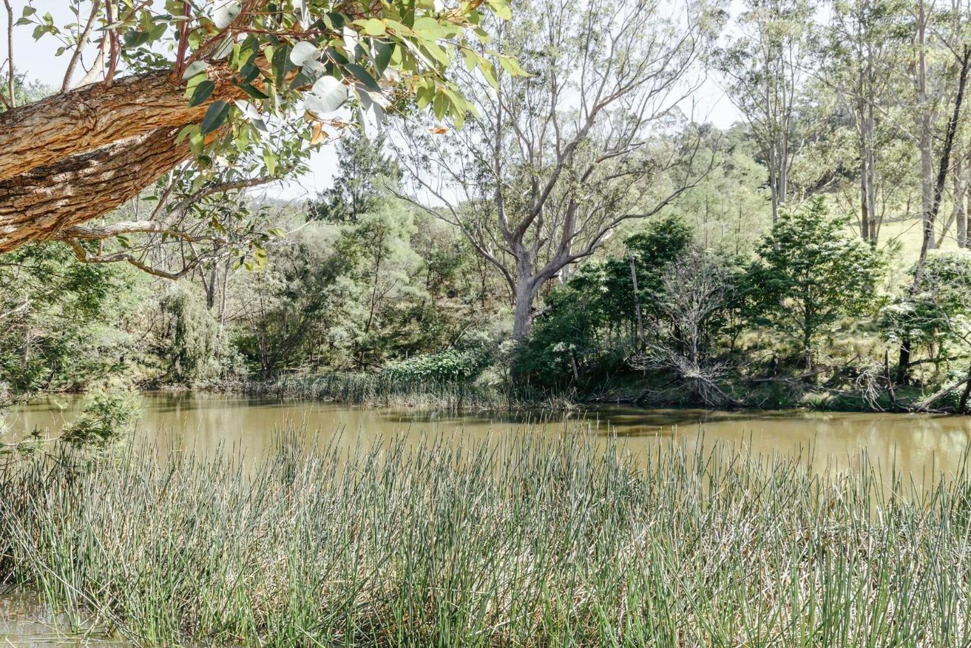 Nido, Kangaroo Valley