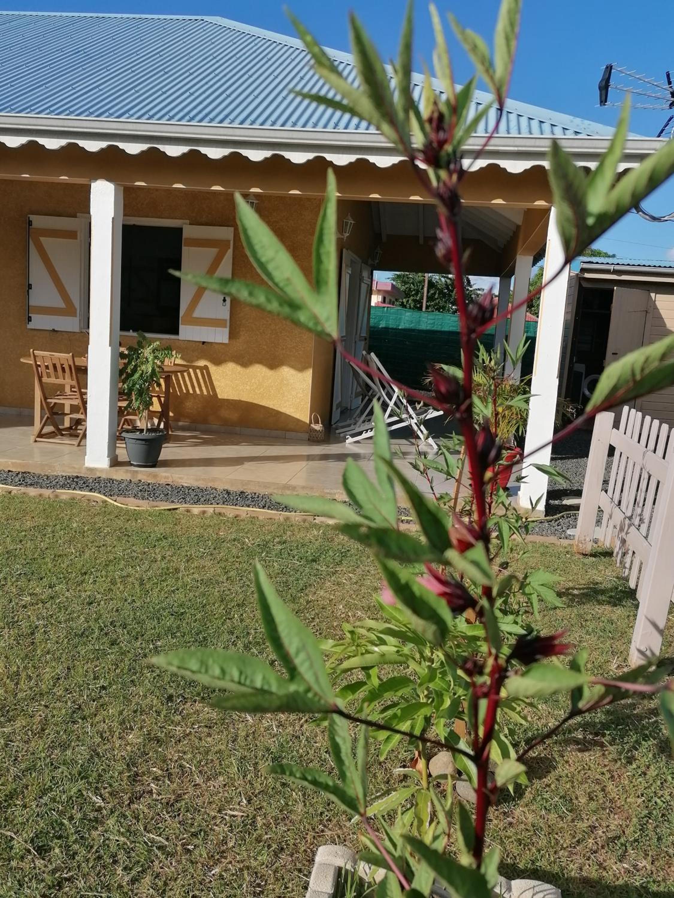 Photo 29