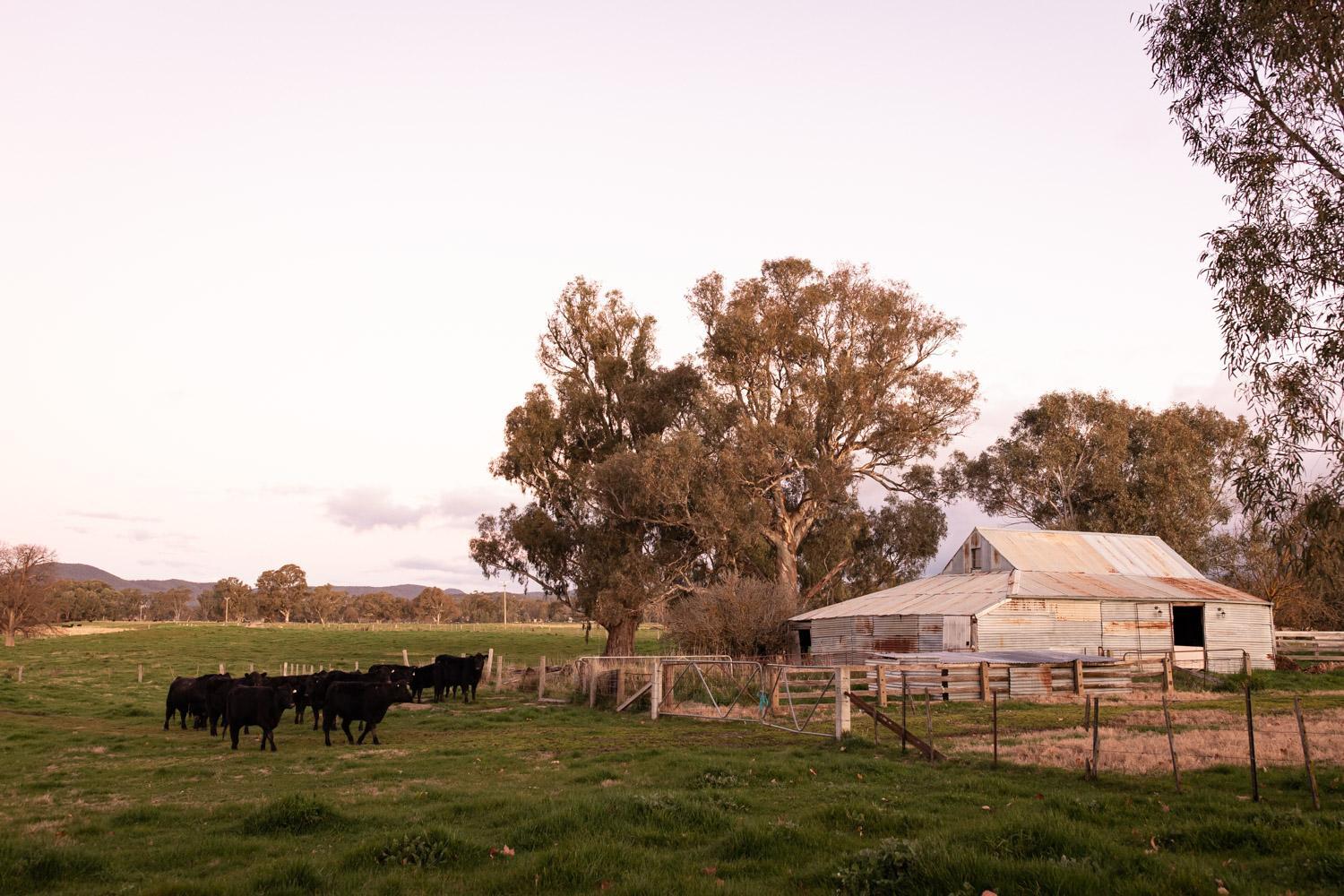 Dunmore Farm