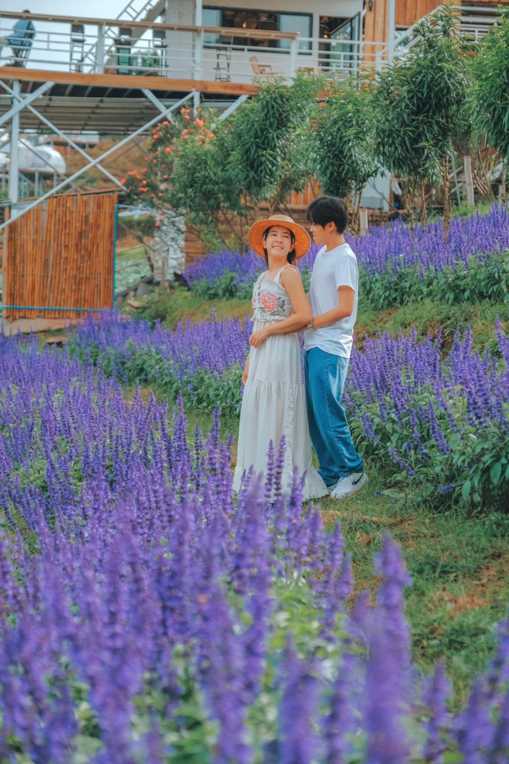 ภูวินคาเฟ่ โฮมสเตย์ Phuwin Homestay Monjam