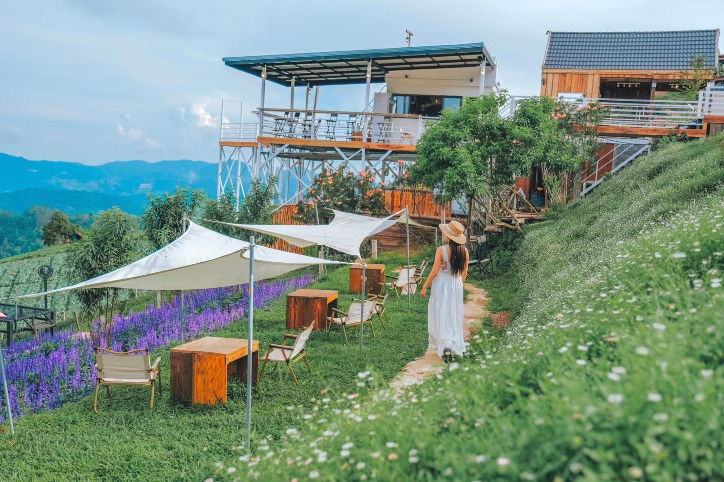 ภูวินคาเฟ่ โฮมสเตย์ Phuwin Homestay Monjam
